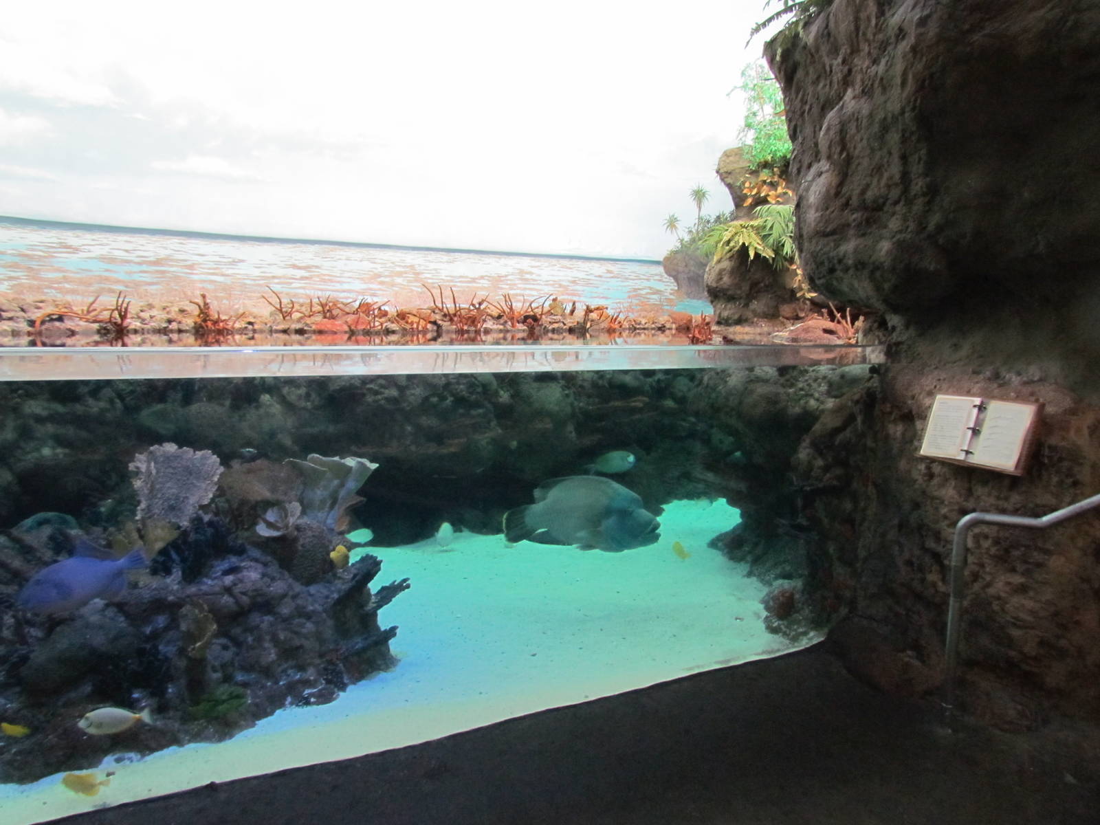 South Pacific Aquarium