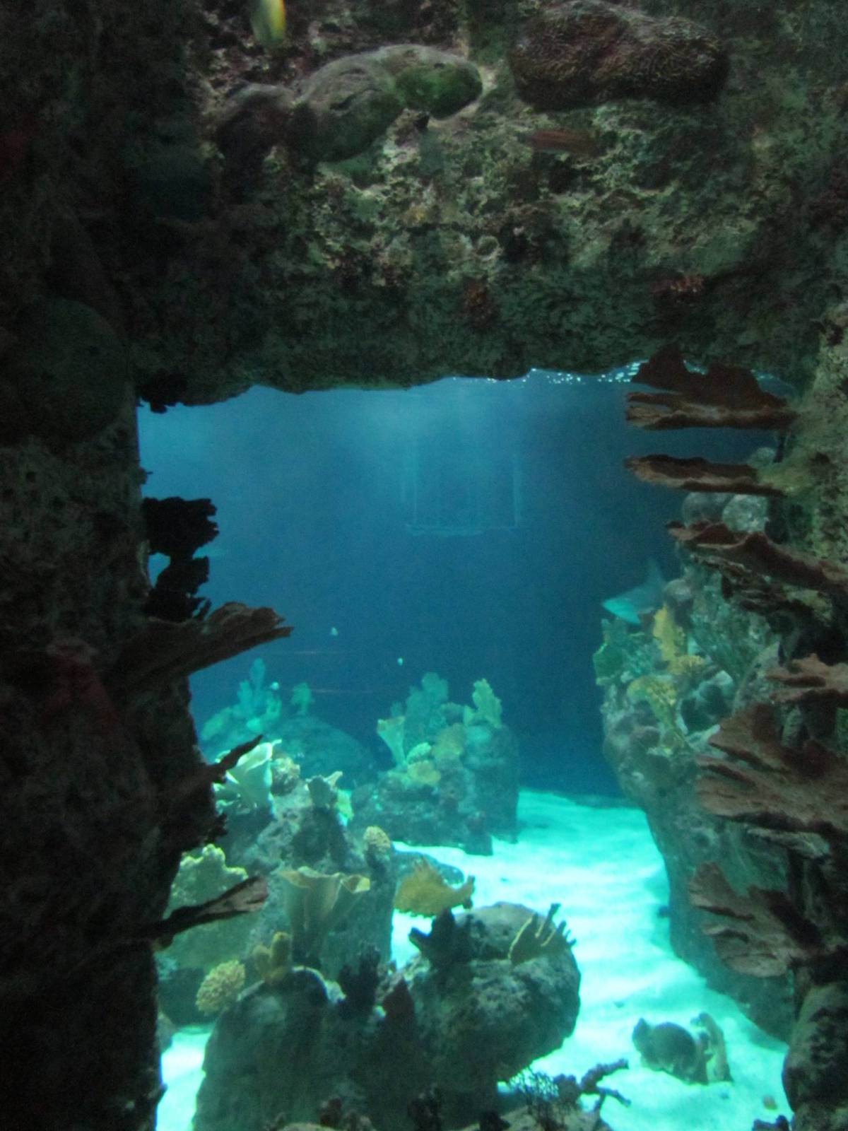 South Pacific Aquarium