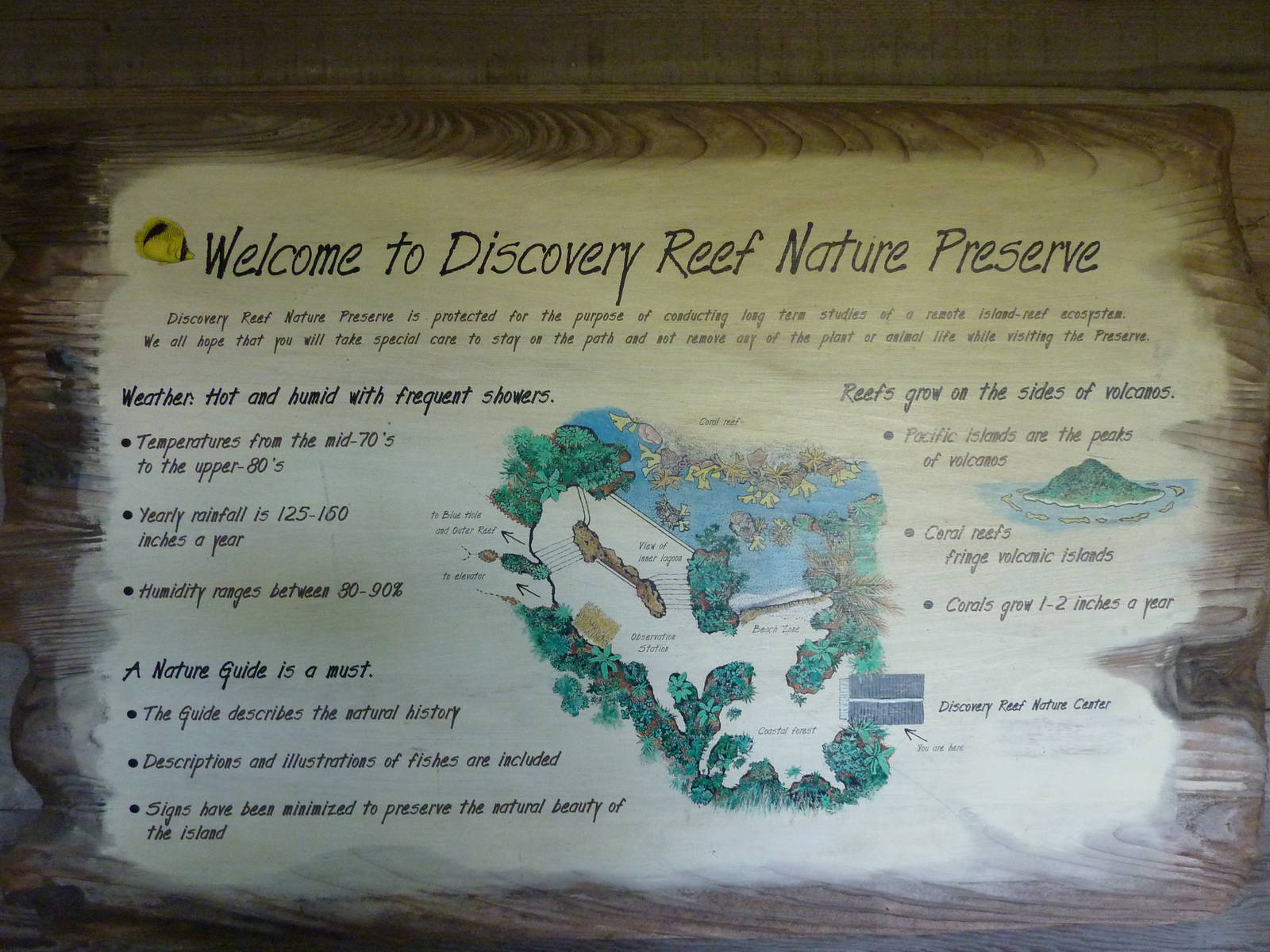 South Pacific Aquarium