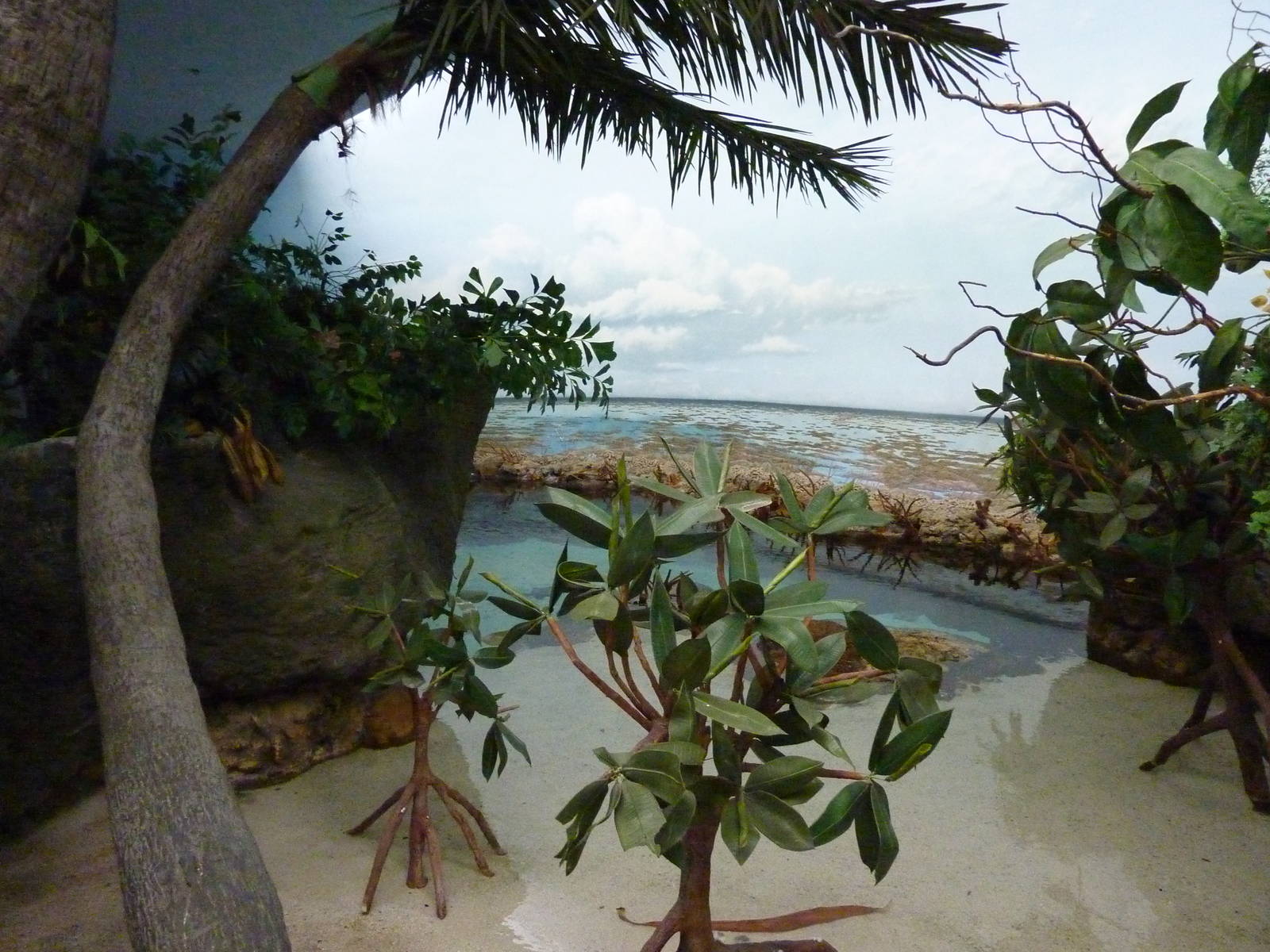 South Pacific Aquarium