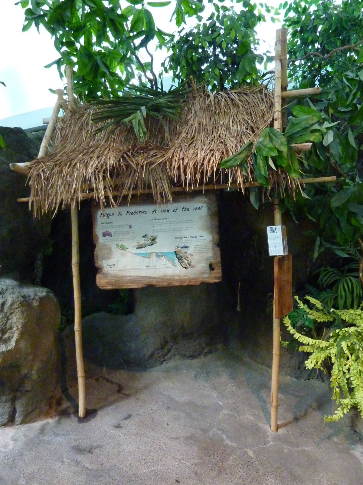 South Pacific Aquarium