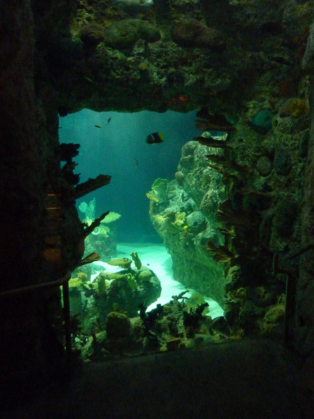 South Pacific Aquarium