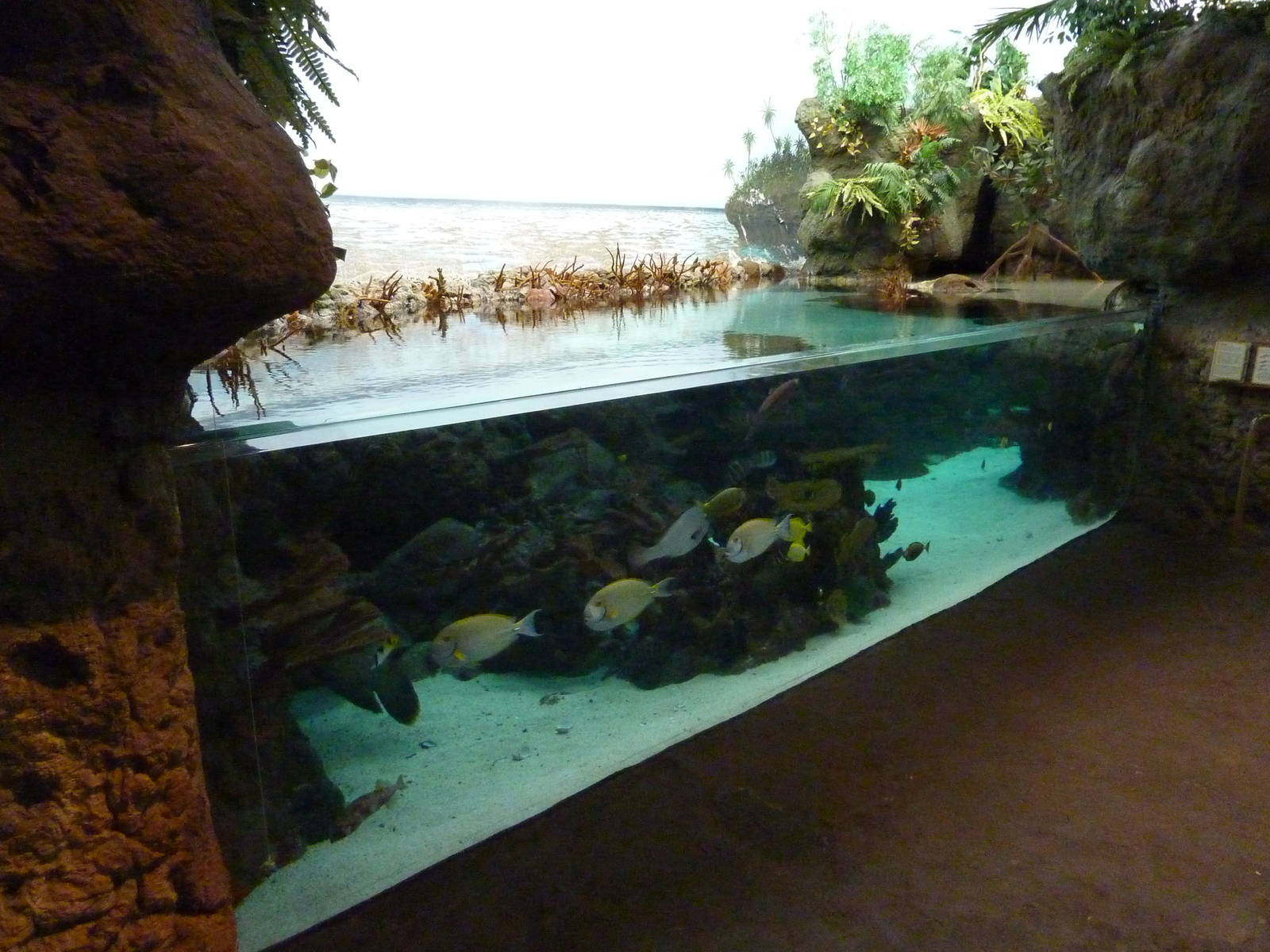 South Pacific Aquarium