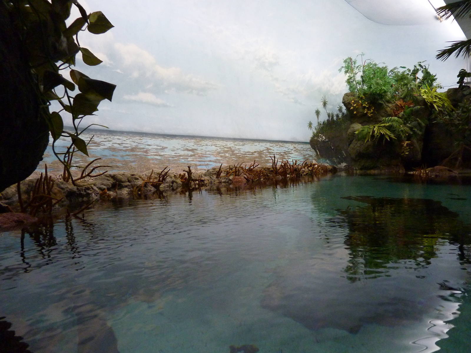 South Pacific Aquarium