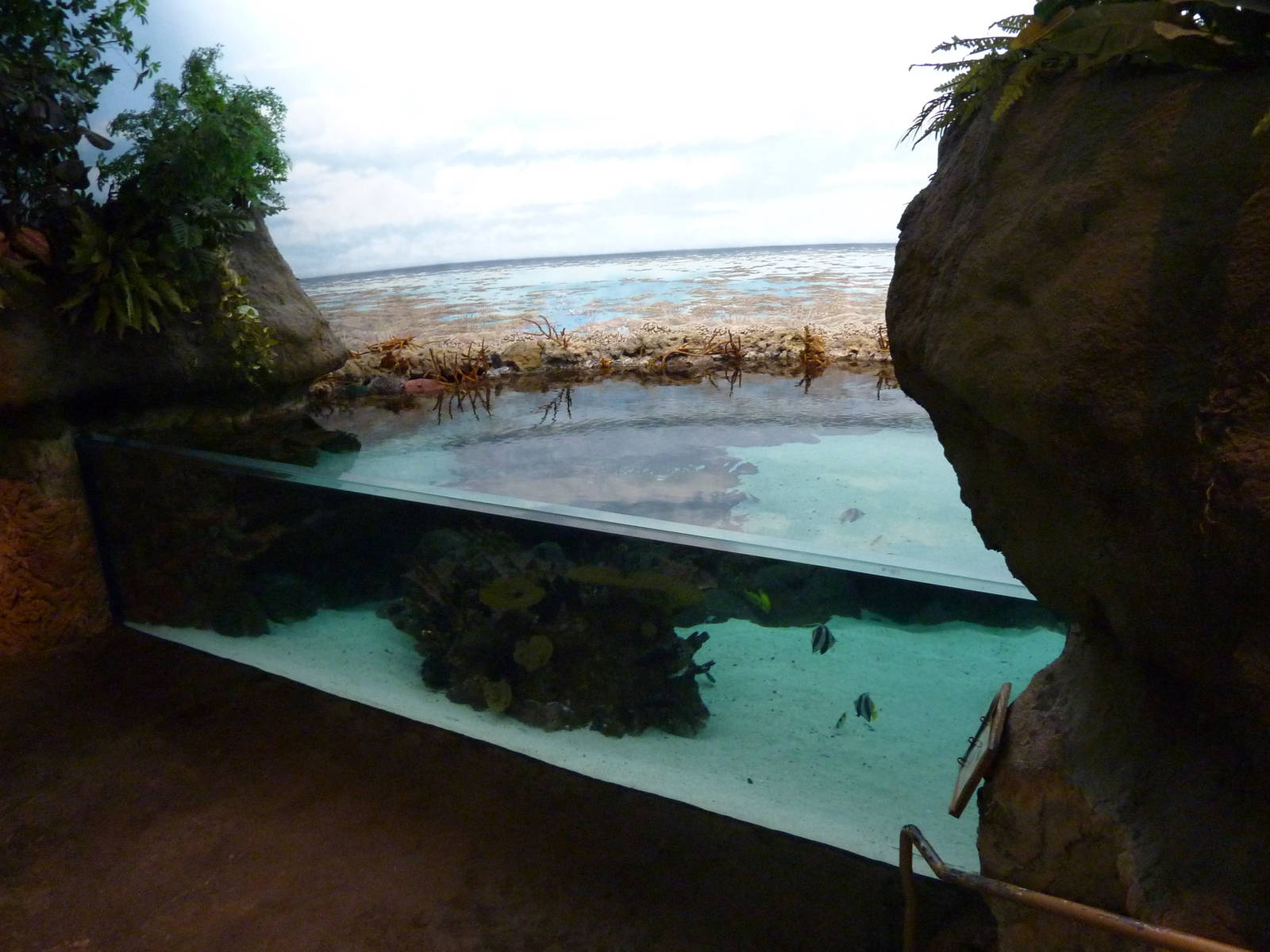 South Pacific Aquarium