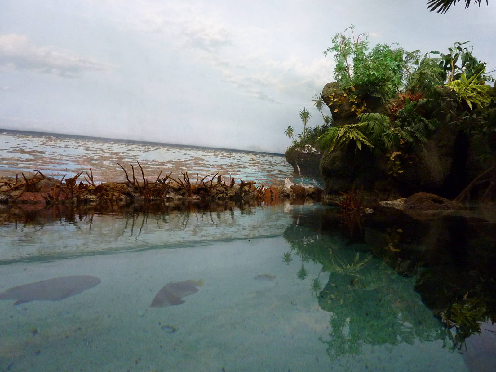 South Pacific Aquarium