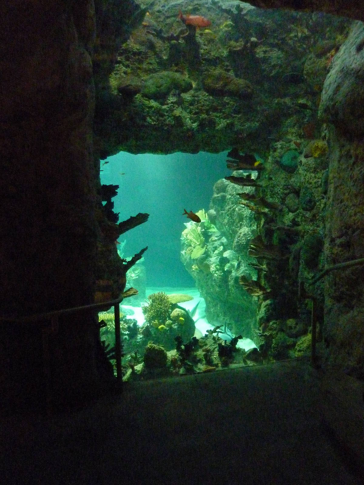 South Pacific Aquarium