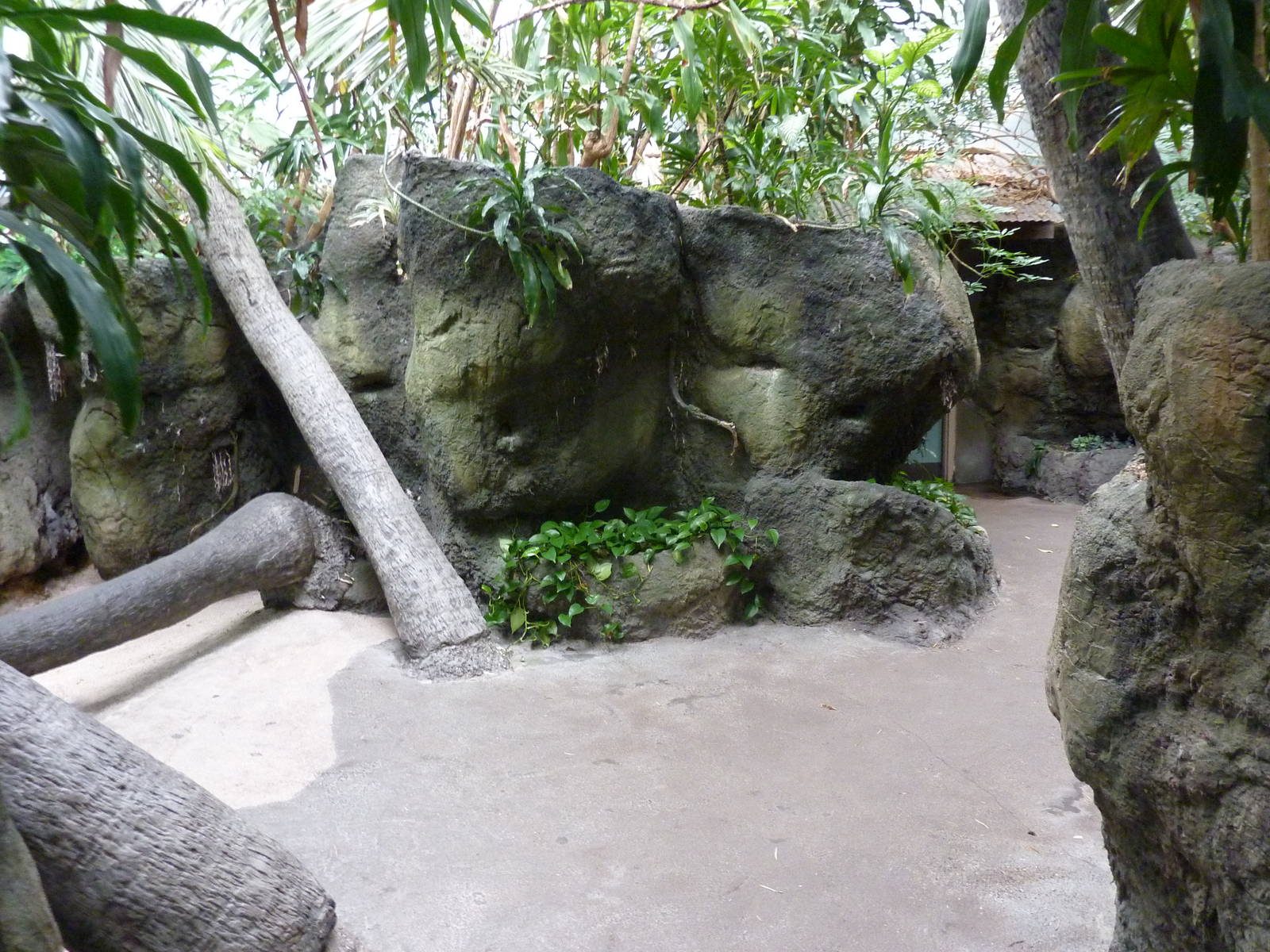 South Pacific Aquarium