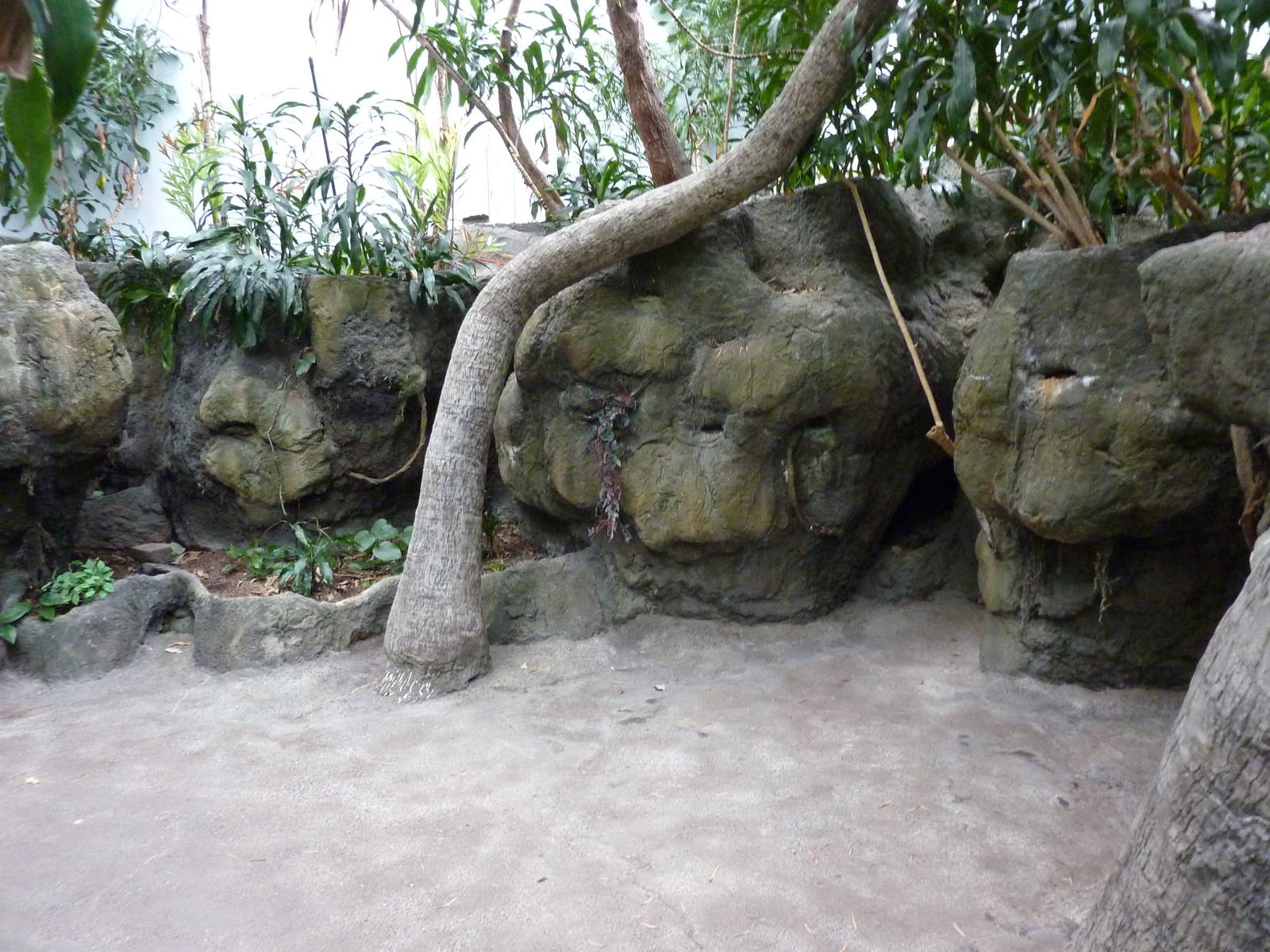 South Pacific Aquarium