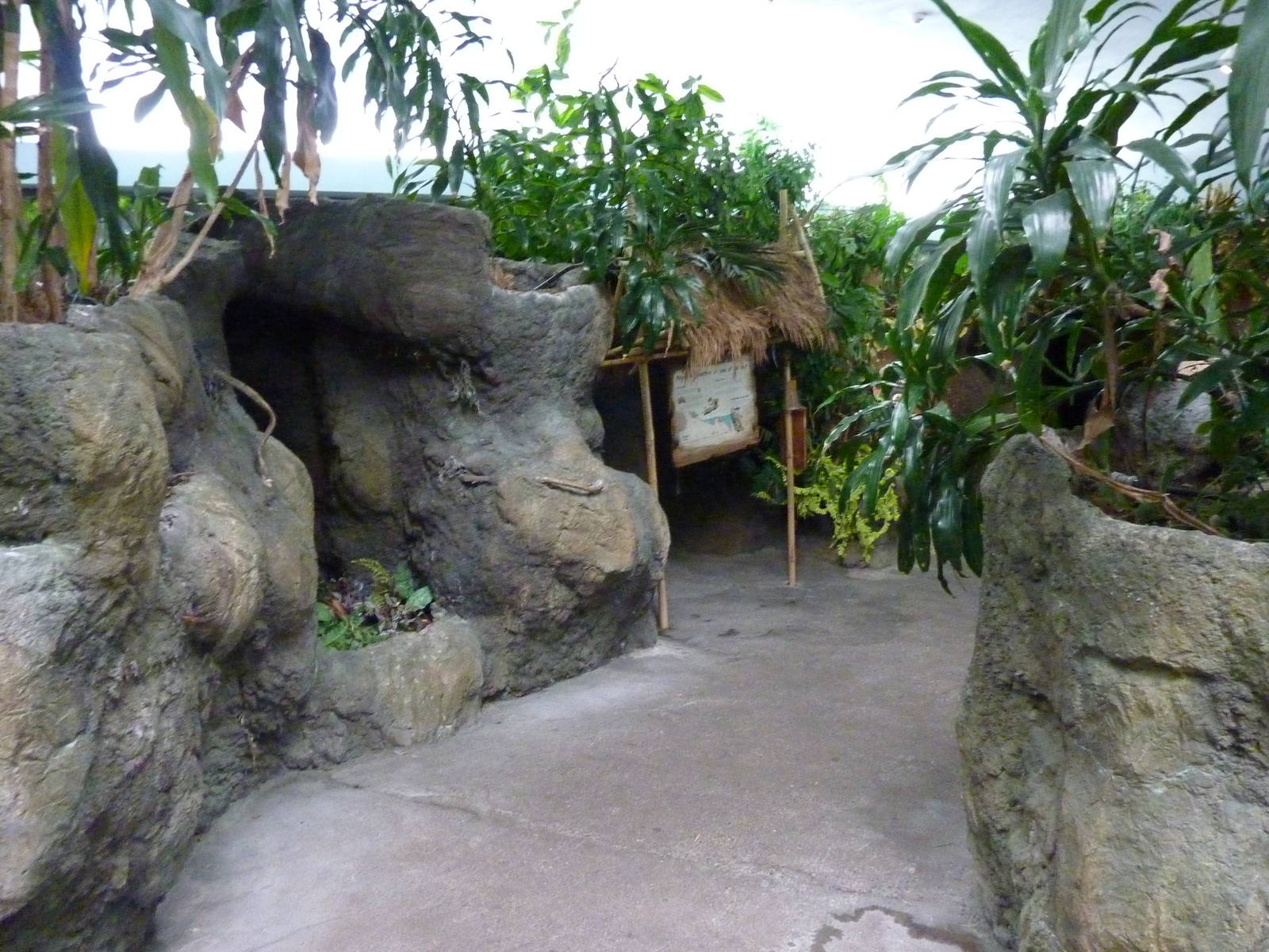 South Pacific Aquarium