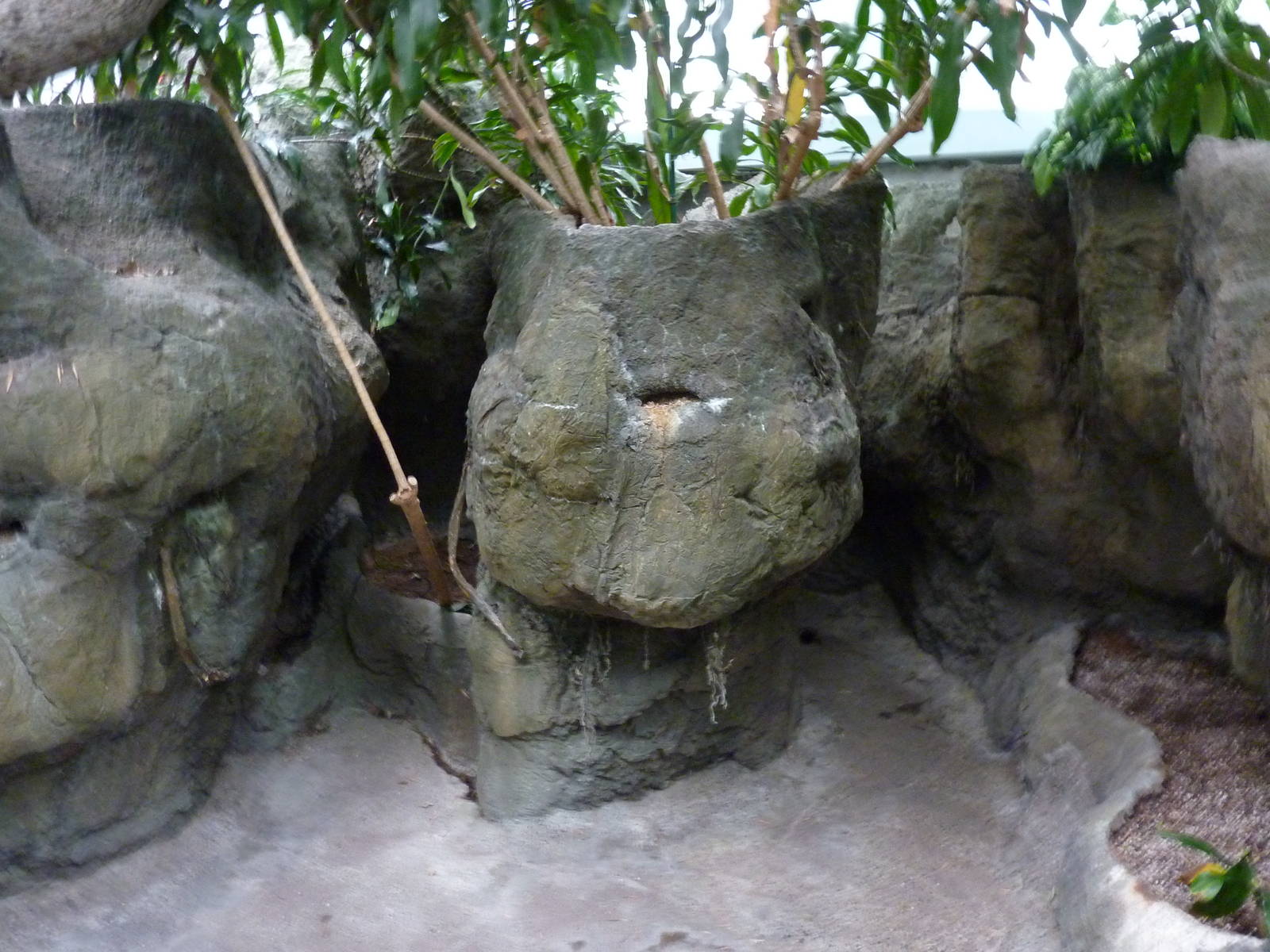 South Pacific Aquarium