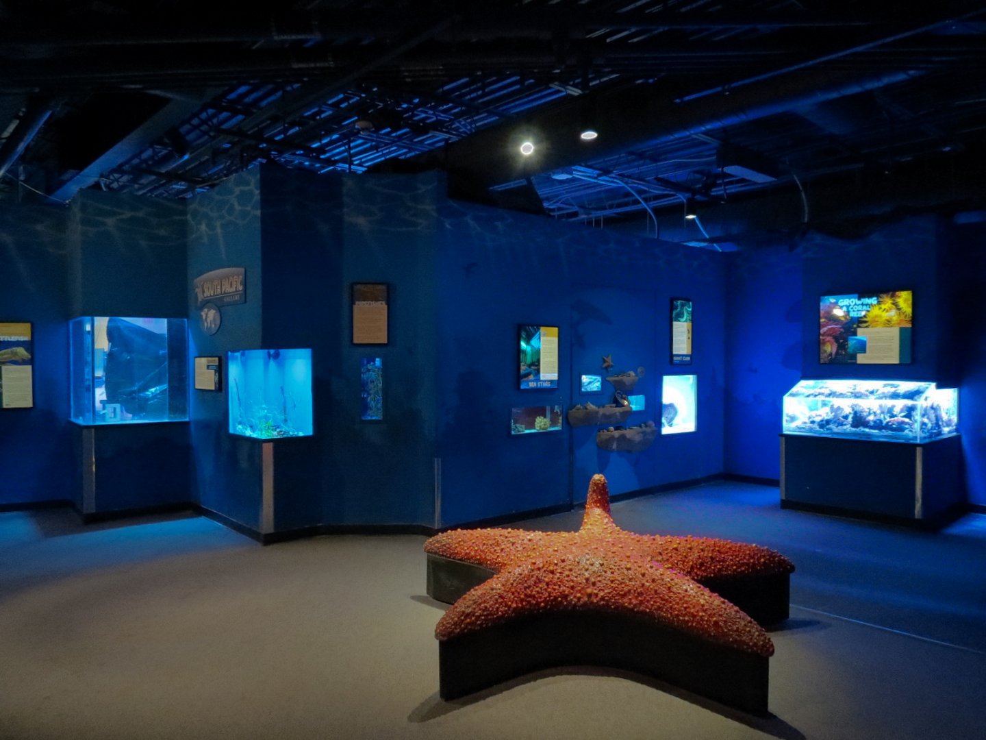 South Pacific Gallery