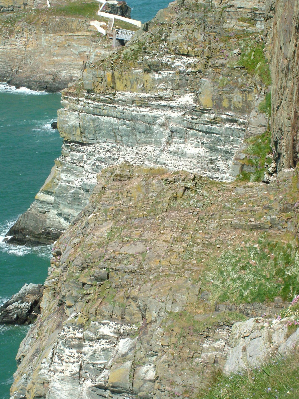South Stack, Anglesey 16/05/10