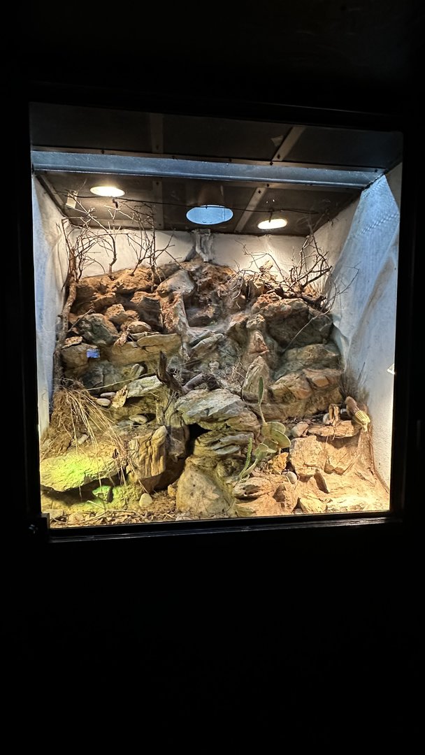 South Texas Terrarium