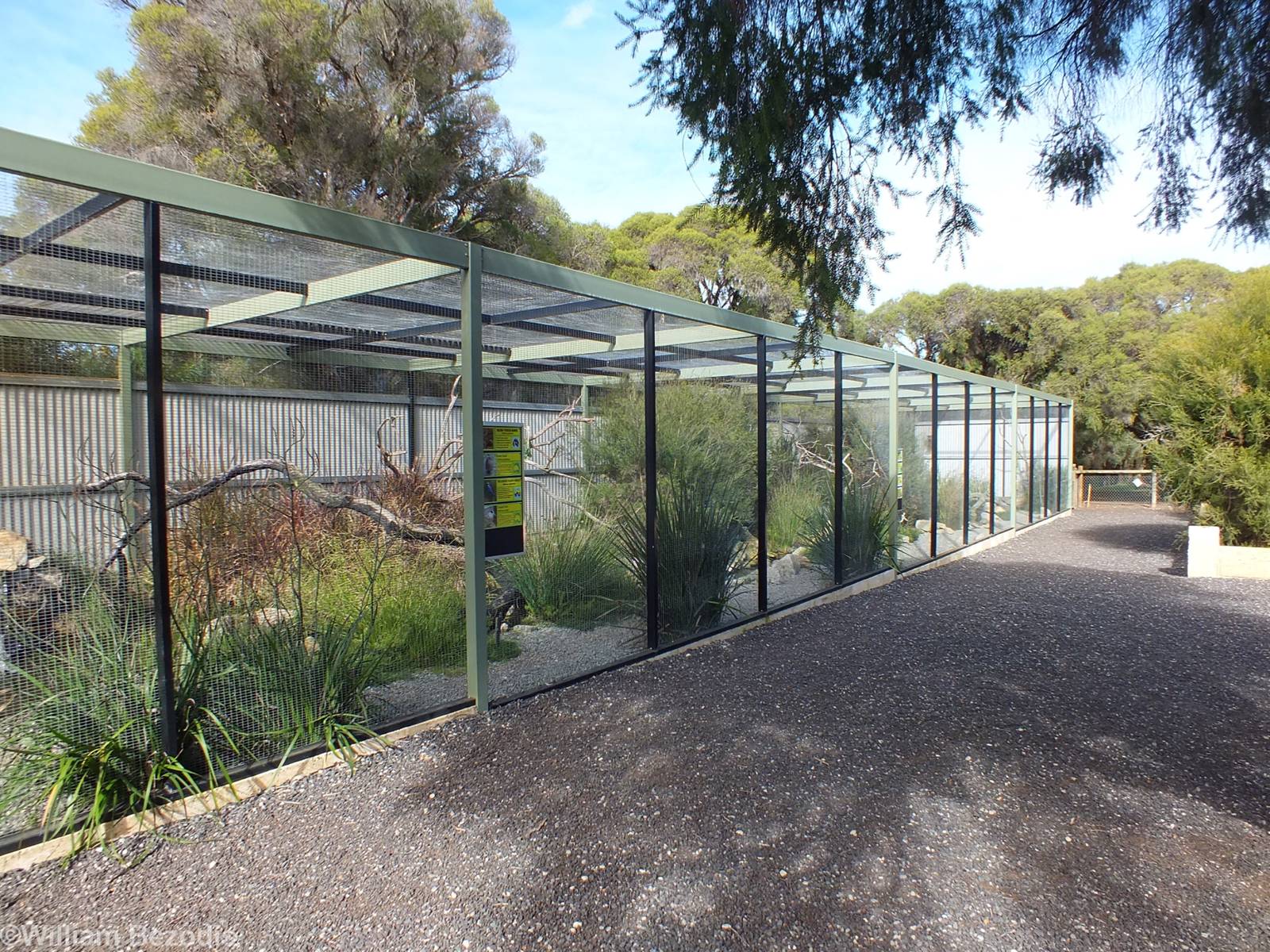 South-western Aviary - Caversham Wildlife Park