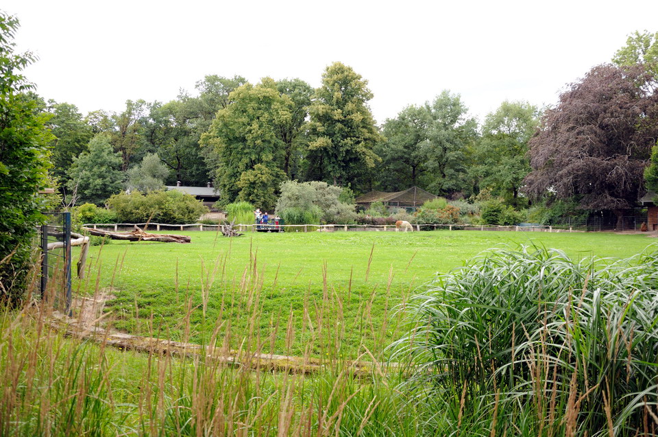 Southamerica exhibit at Dessau