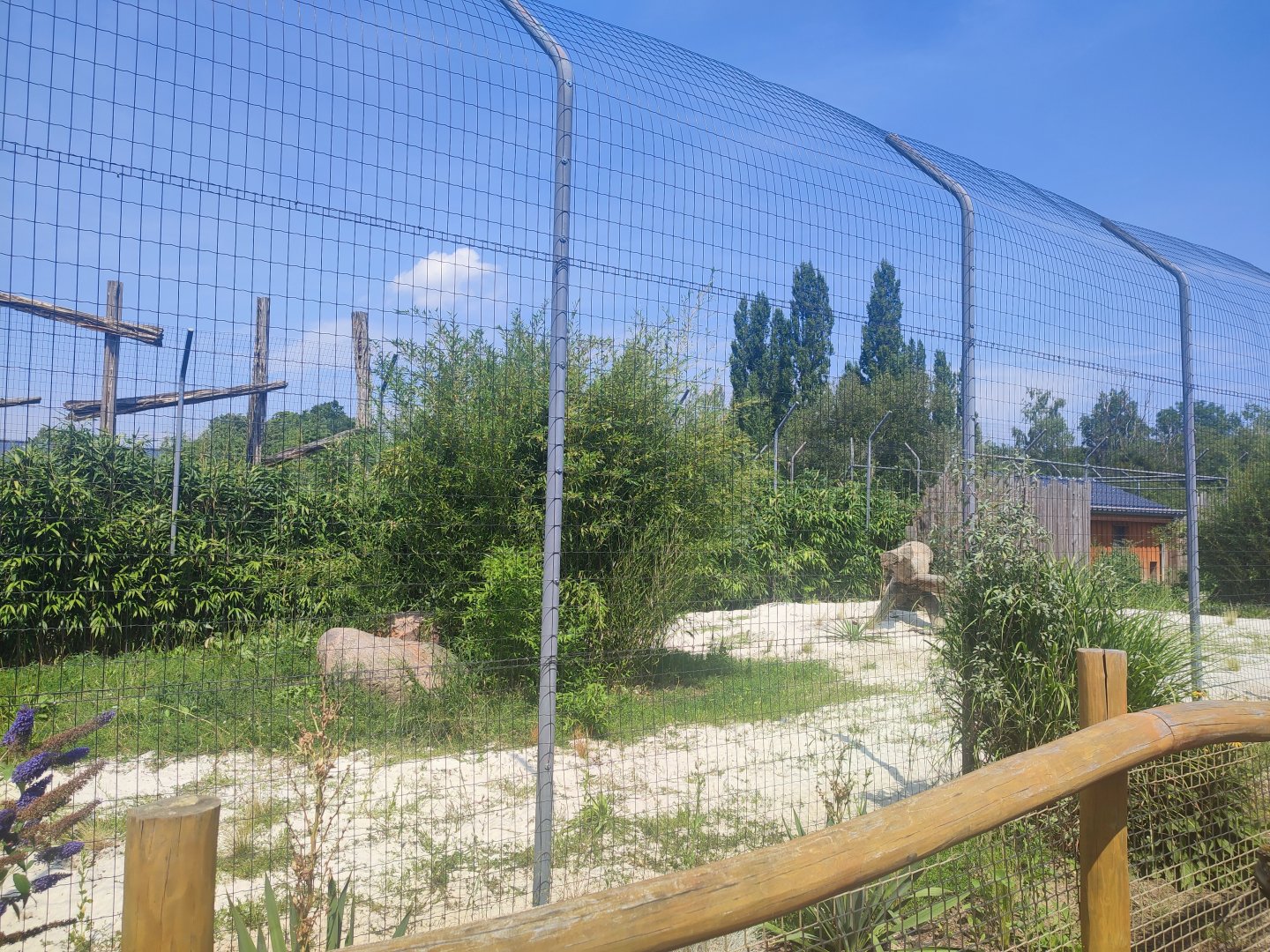Southeast African cheetah enclosure - Artenschutzzentrum Grasleben