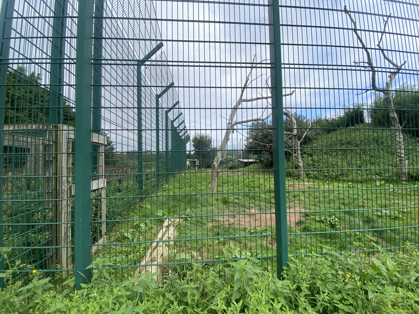 Southeast African lion enclosure no.1 130923