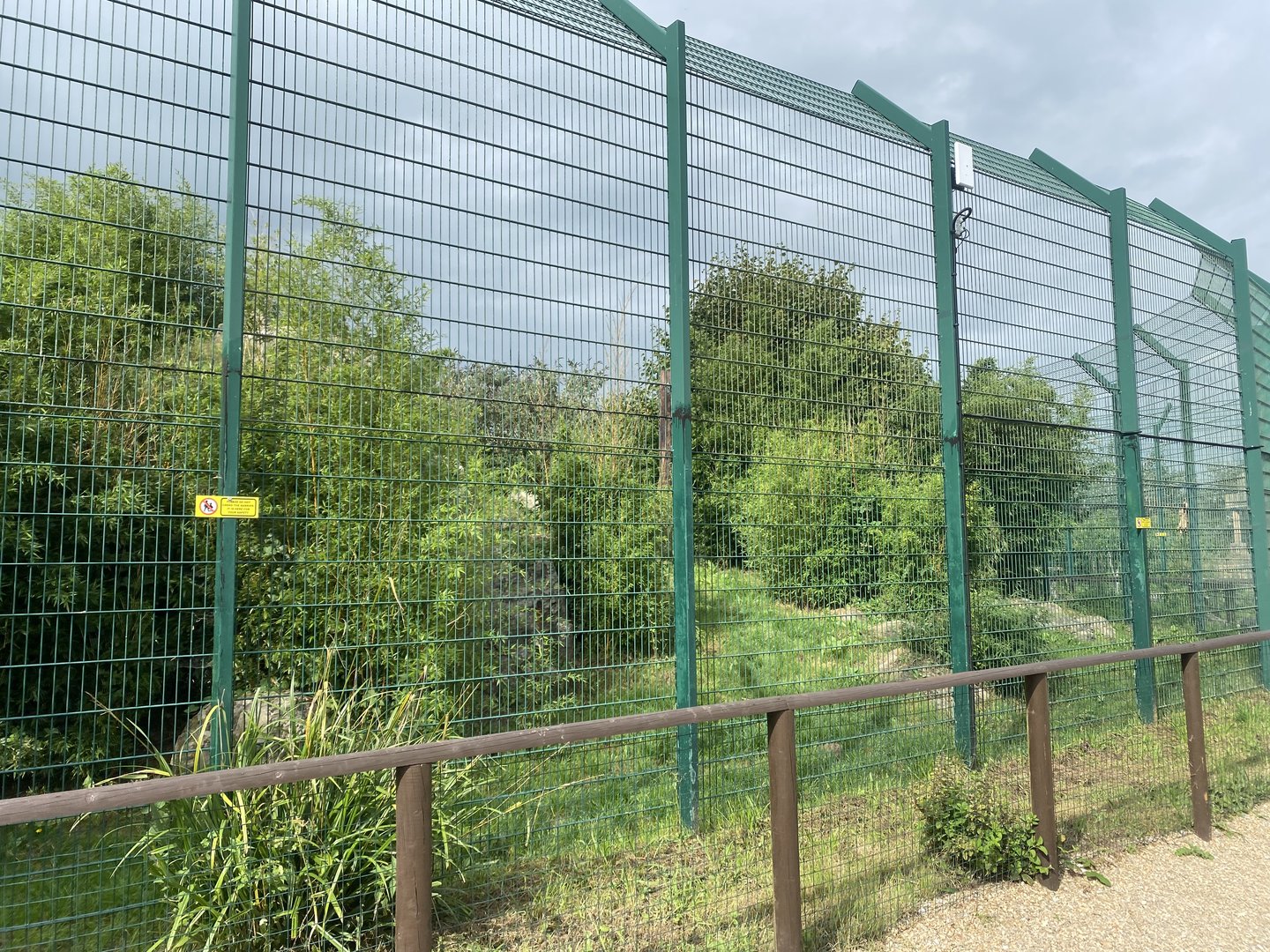 Southeast African lion enclosure no.1 130923