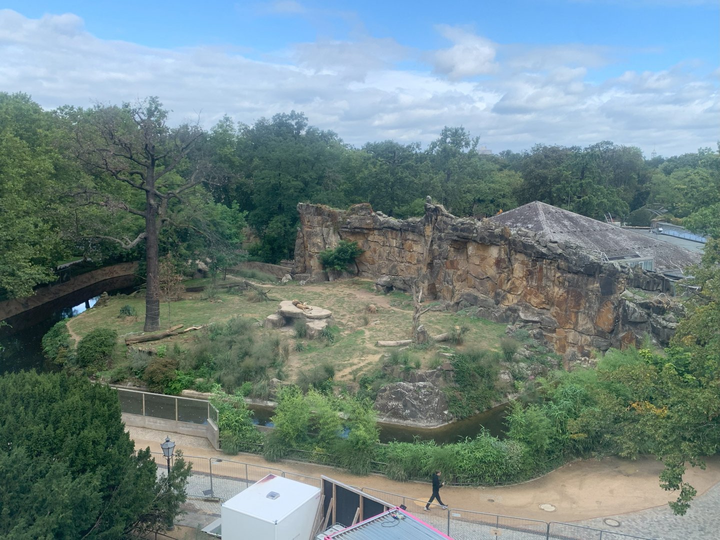 Southeast African Lion enclosure