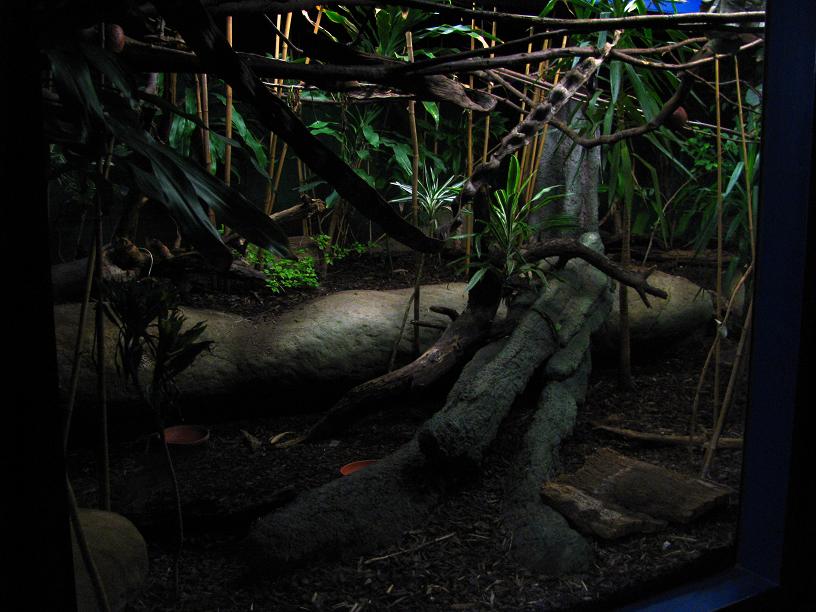 Southeast Asia Enclosure (Nocturama)