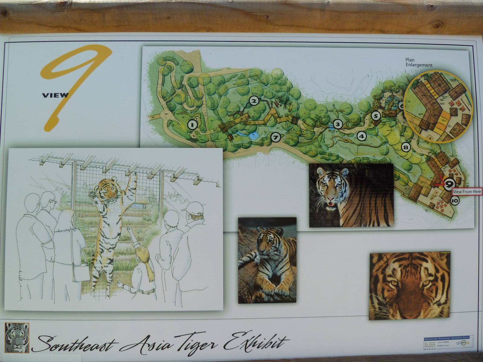 Southeast Asia Tiger Exhibit