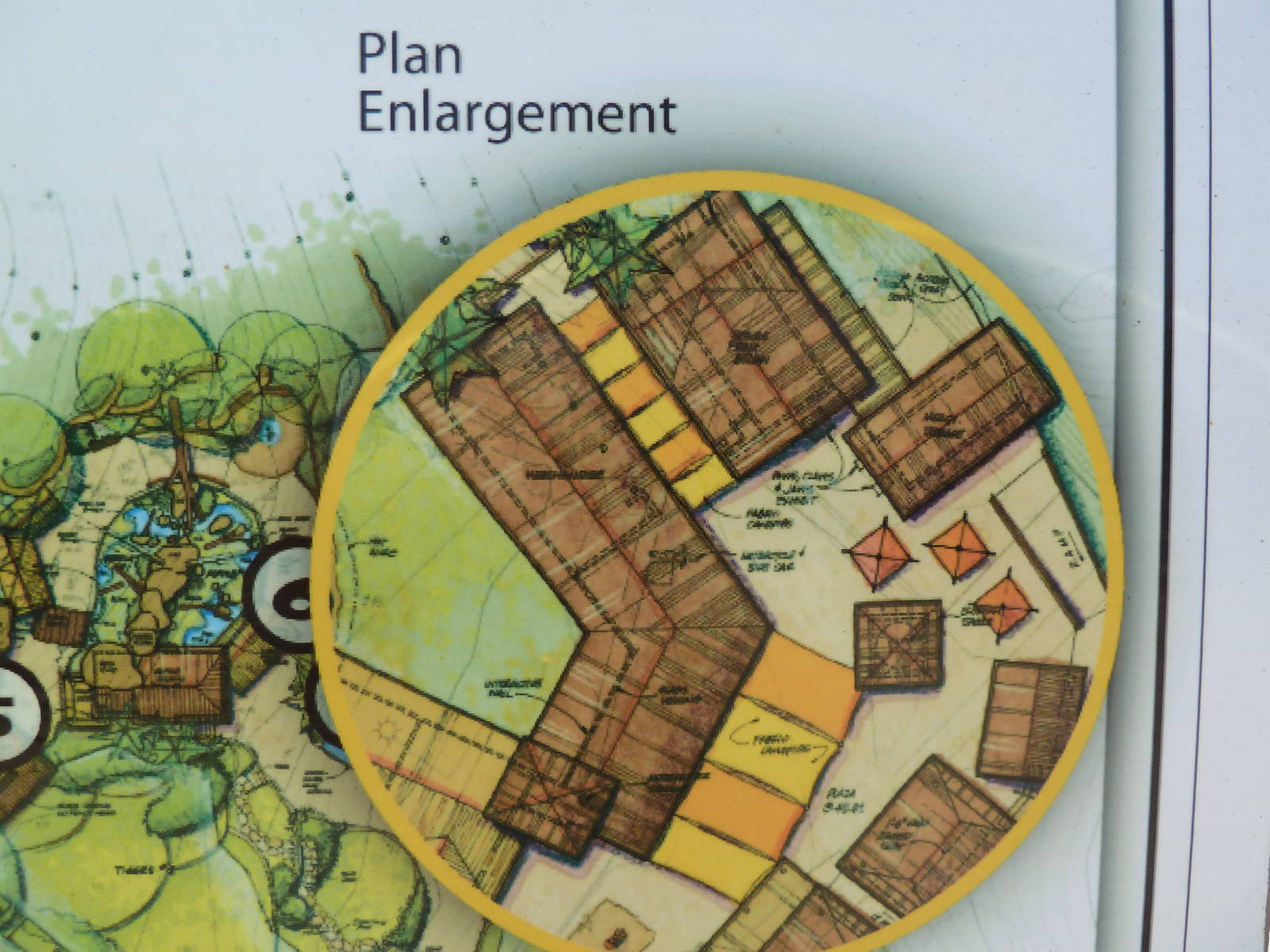 Southeast Asia Tiger Exhibit