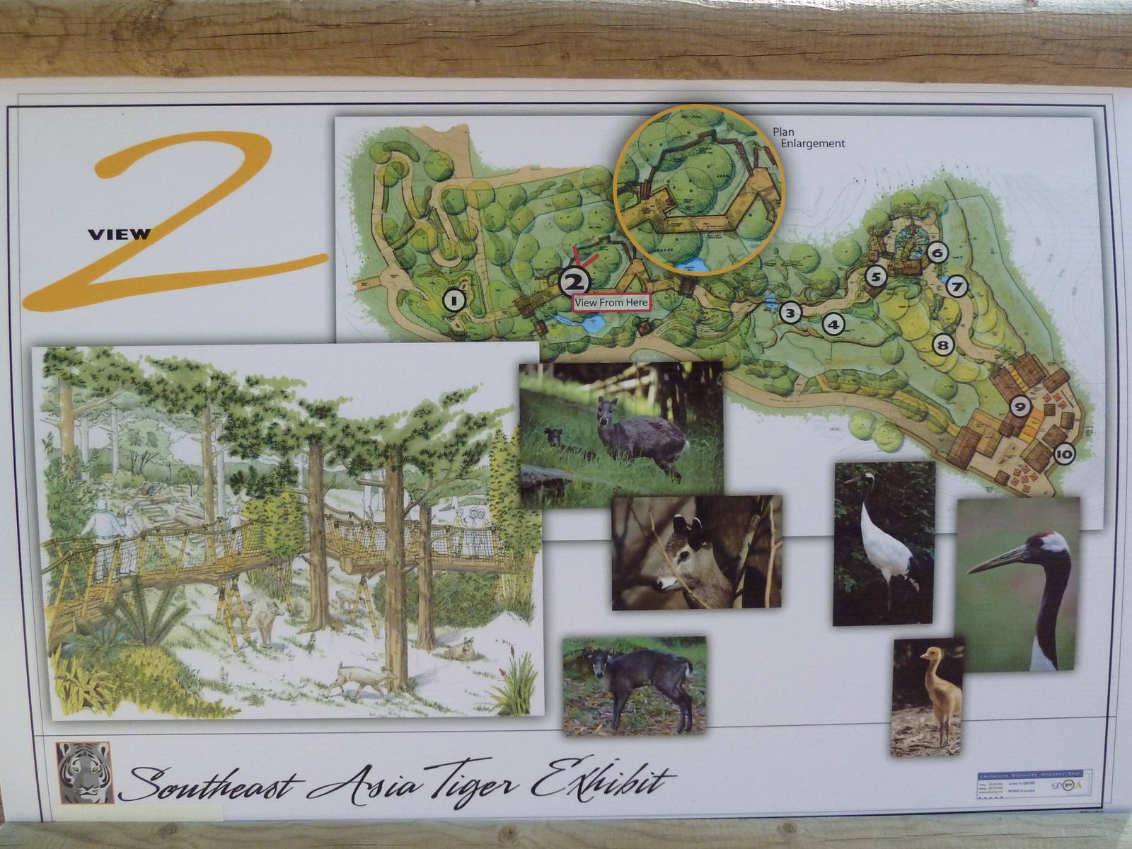 Southeast Asia Tiger Exhibit