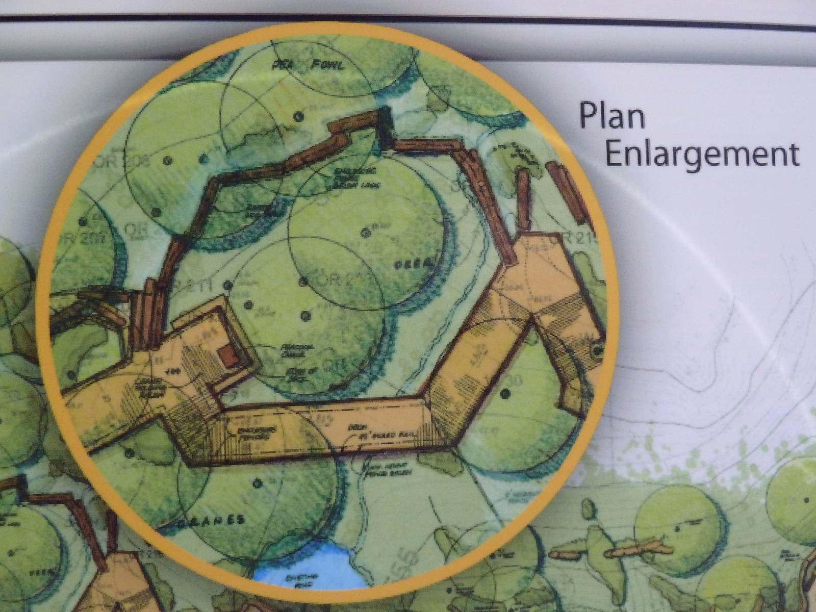 Southeast Asia Tiger Exhibit