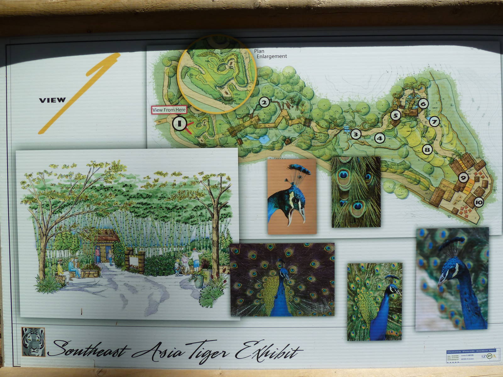 Southeast Asia Tiger Exhibit