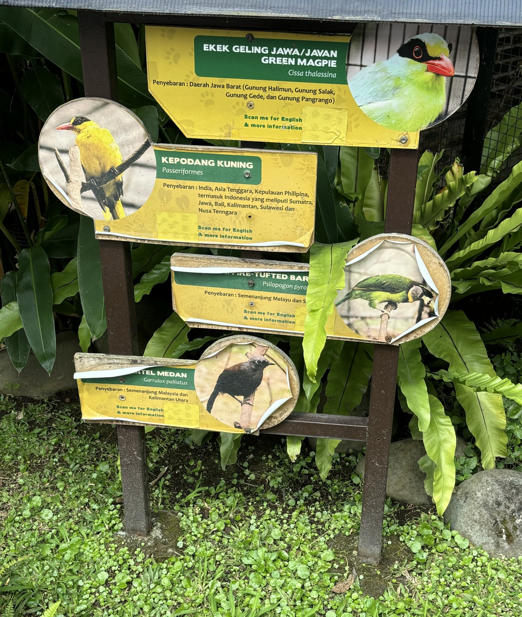 “Southeast Asian” Aviary Sign