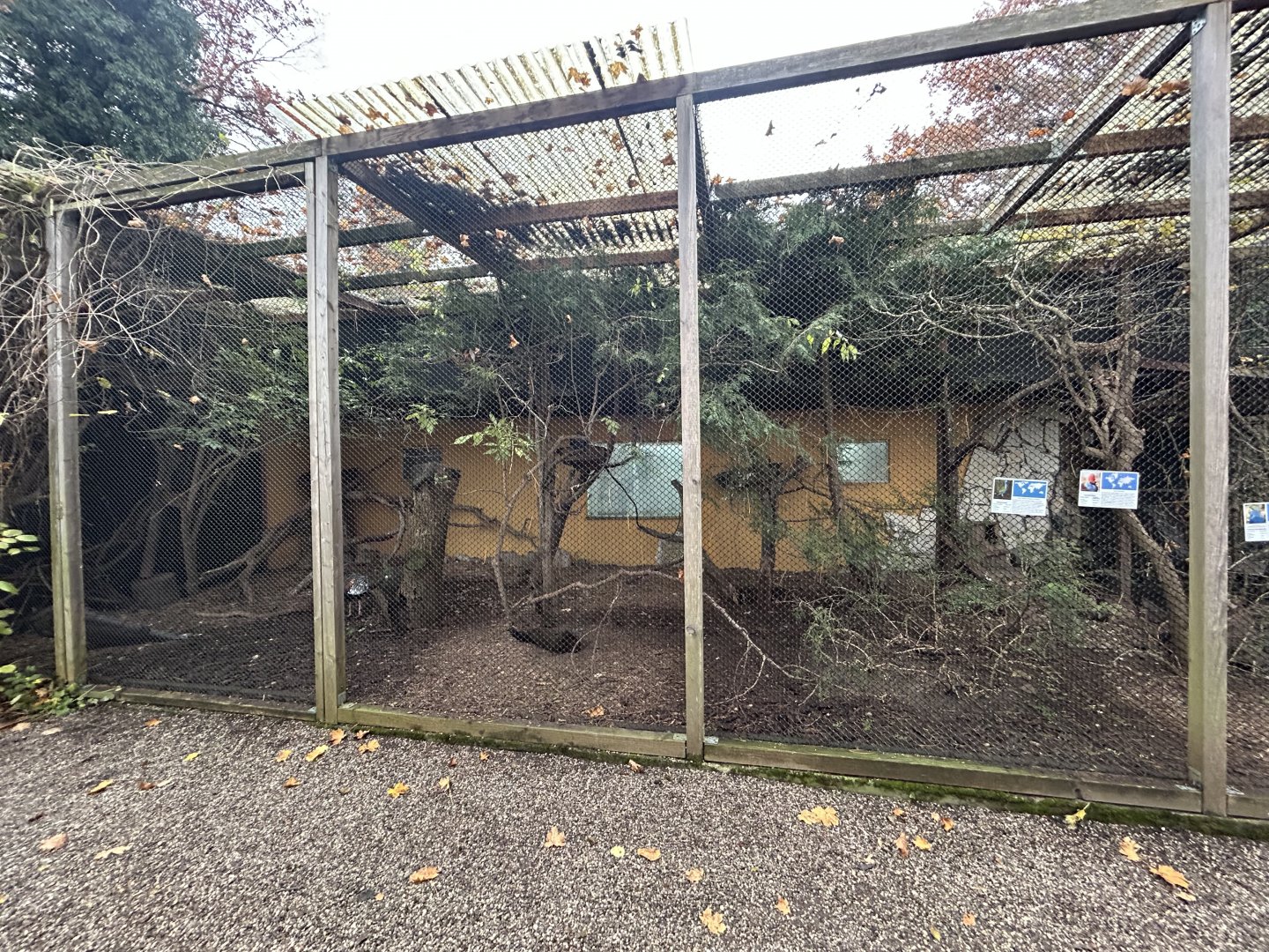 Southeast Asian Bird Aviary