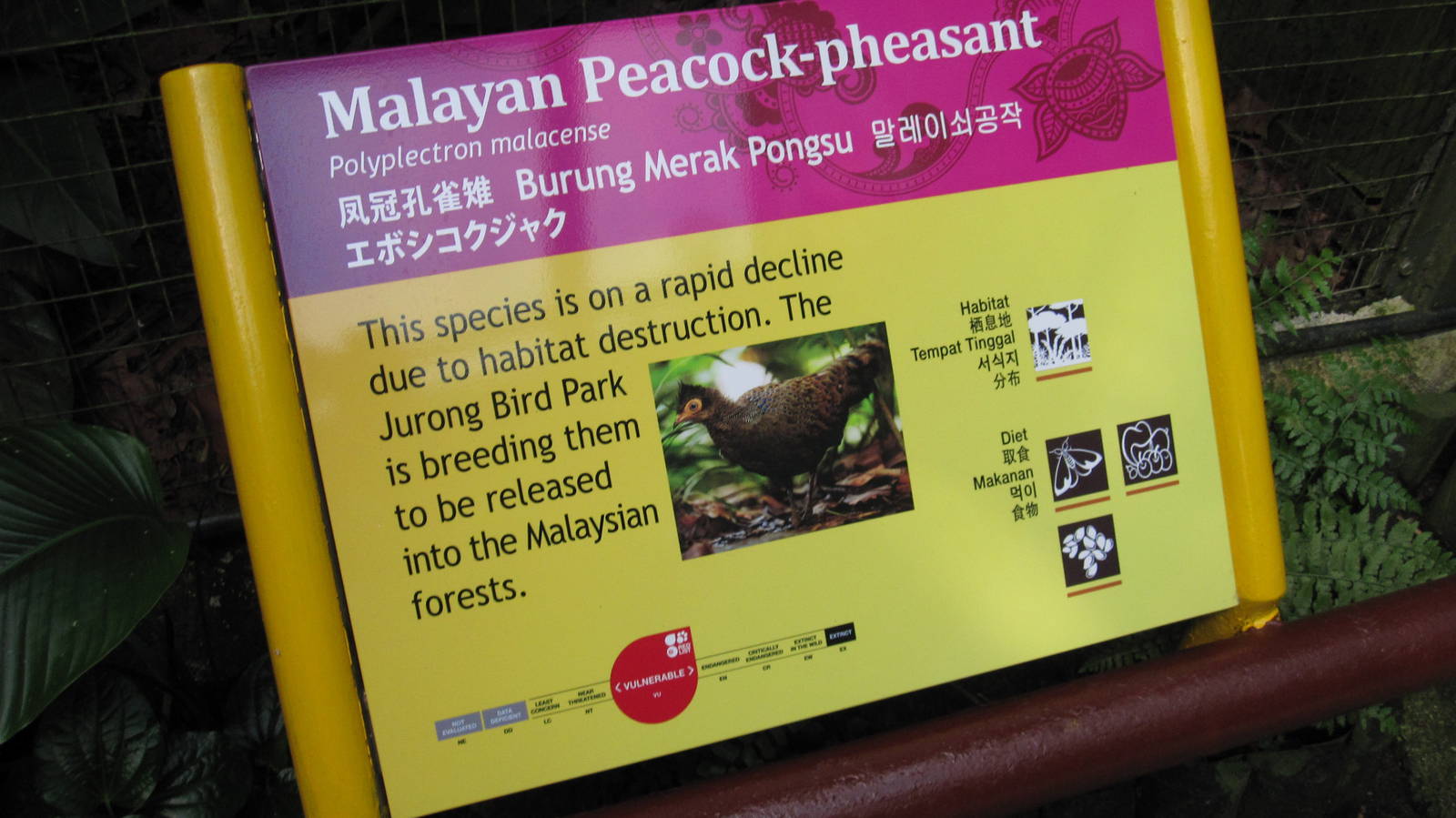 Southeast Asian Birds Aviary - New sign