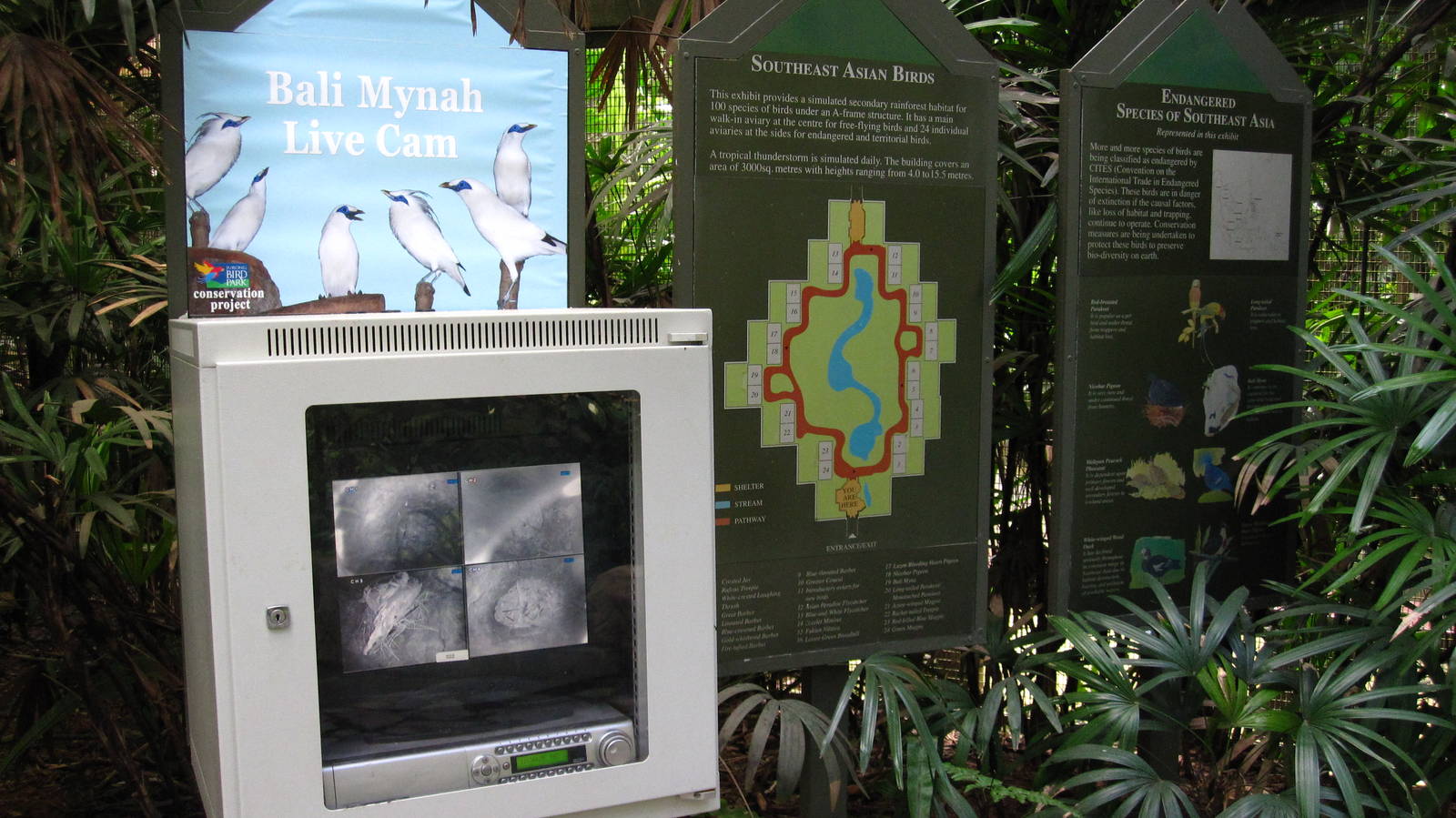 Southeast Asian Birds Aviary
