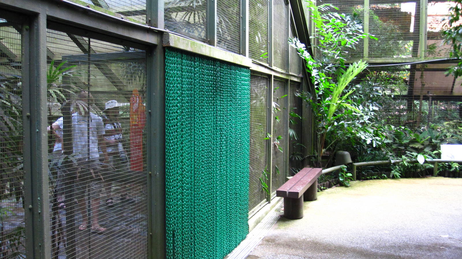 Southeast Asian Birds Aviary