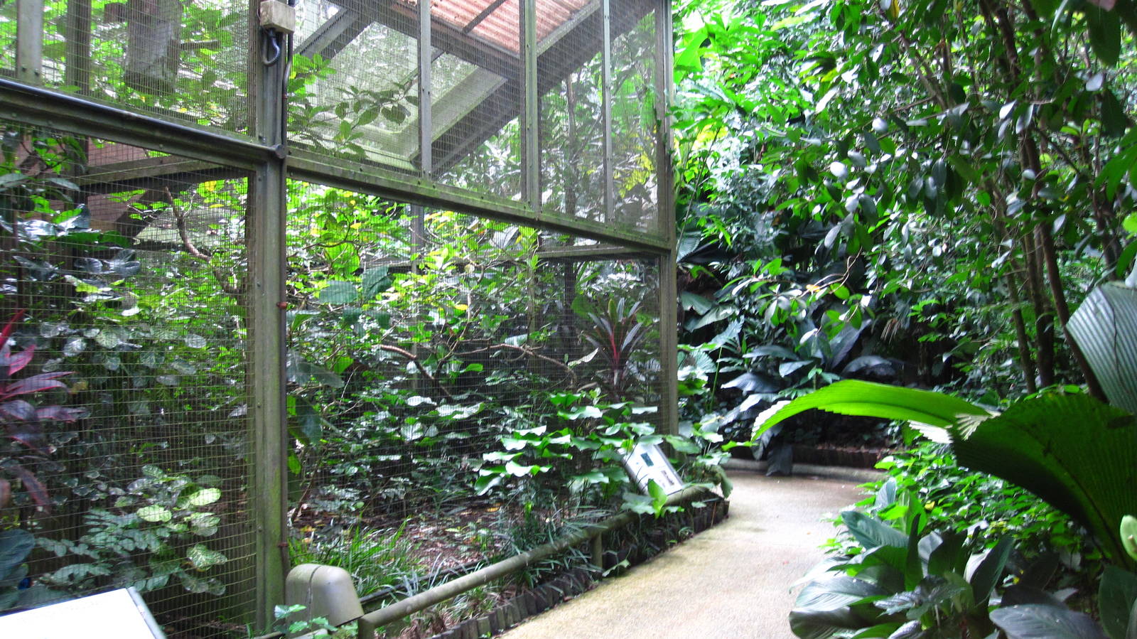 Southeast Asian Birds Aviary