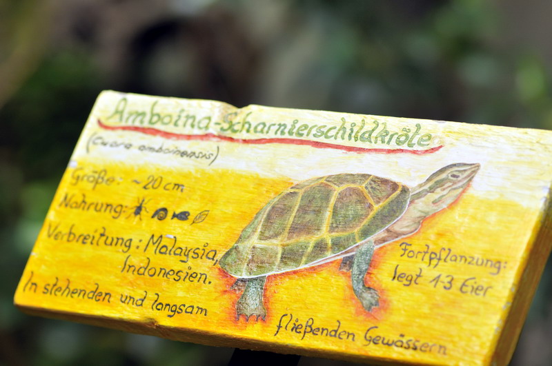 Southeast Asian box turtle sign at the Troparium Hagenbeck