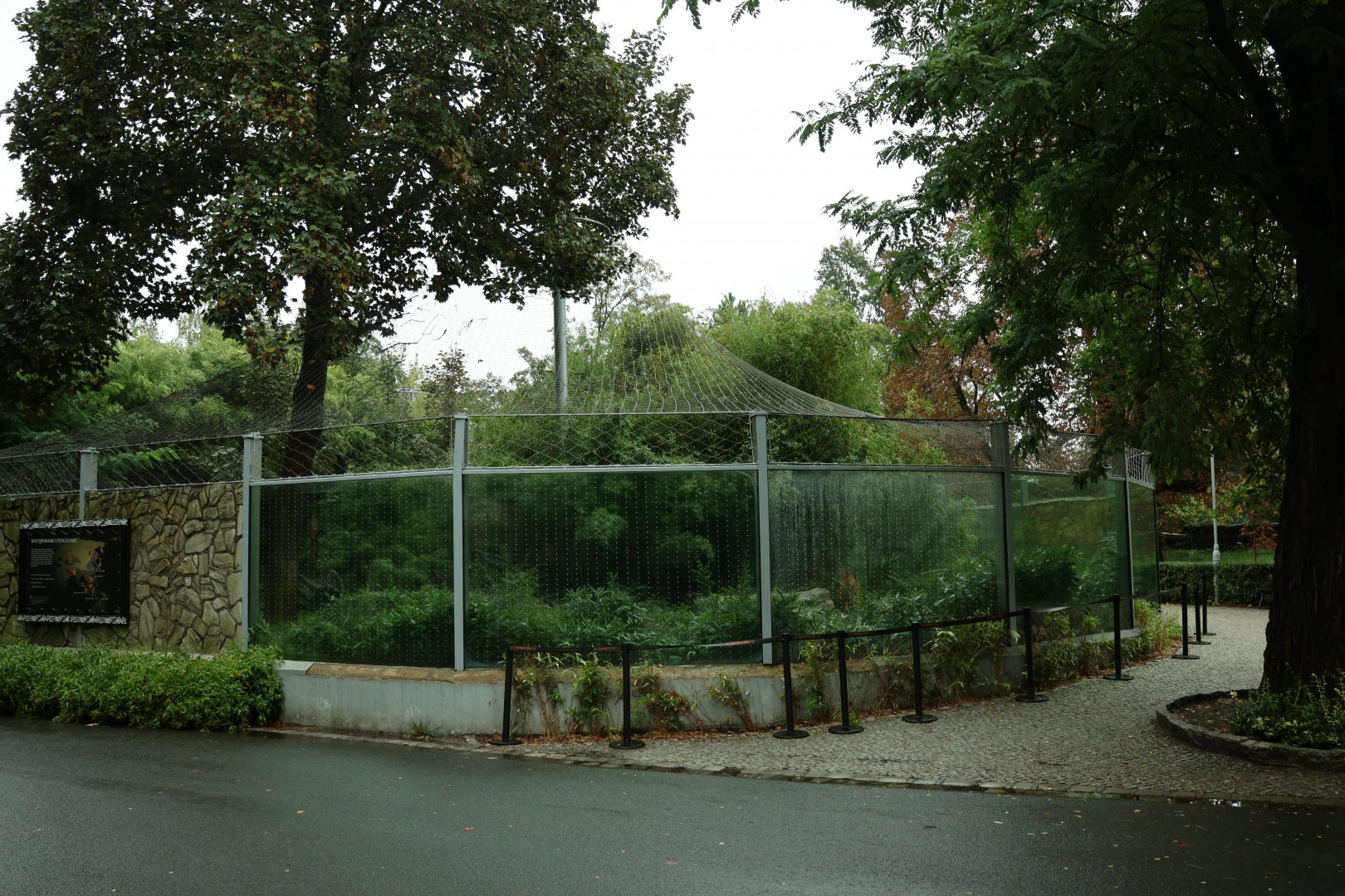Southeast Asian carnivores - Sumatran tiger enclosure