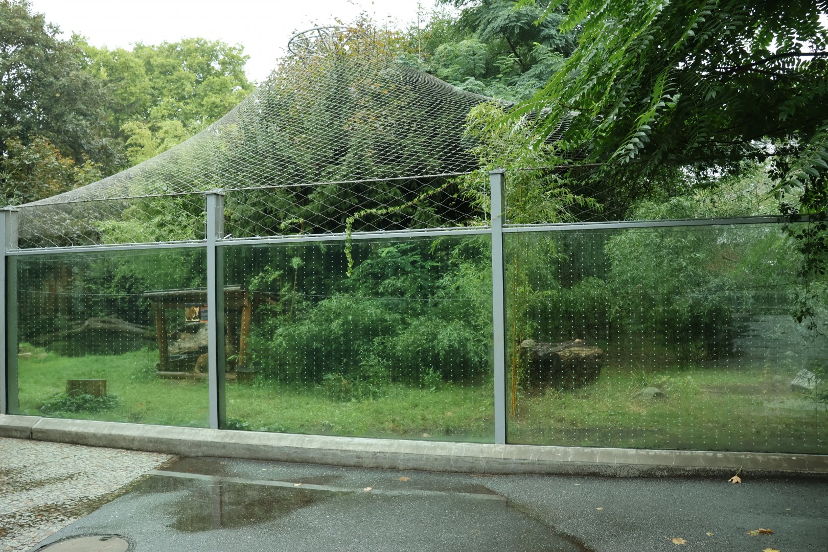 Southeast Asian carnivores - Sumatran tiger enclosure