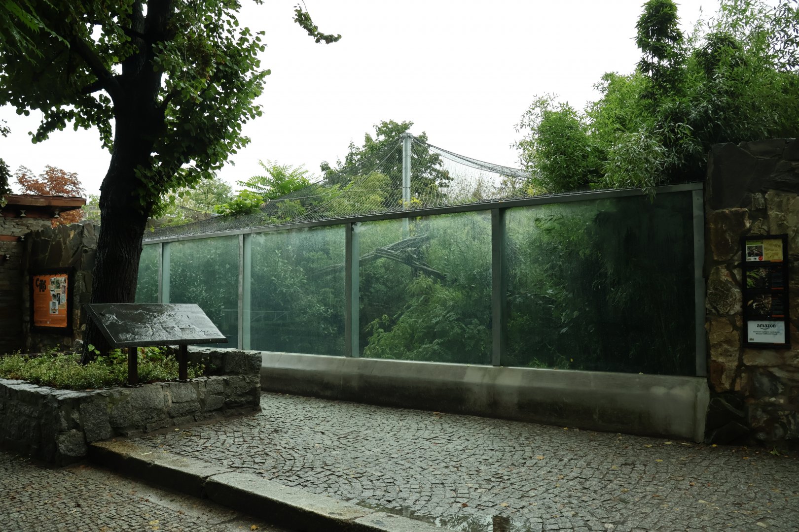 Southeast Asian carnivores - Terrytorium Panter - Indochinese clouded leopard enclosure