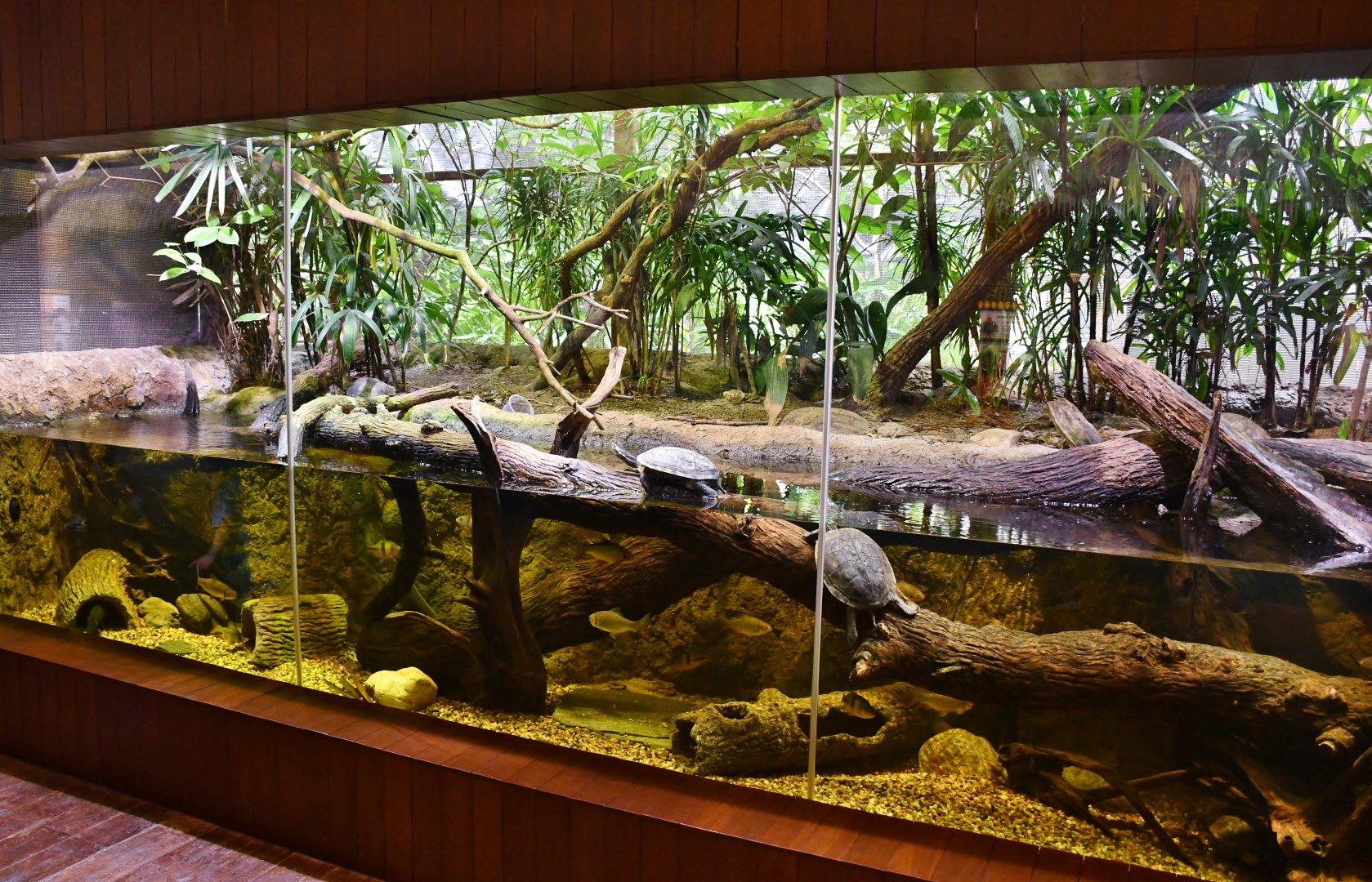 Southeast Asian Mixed Exhibit