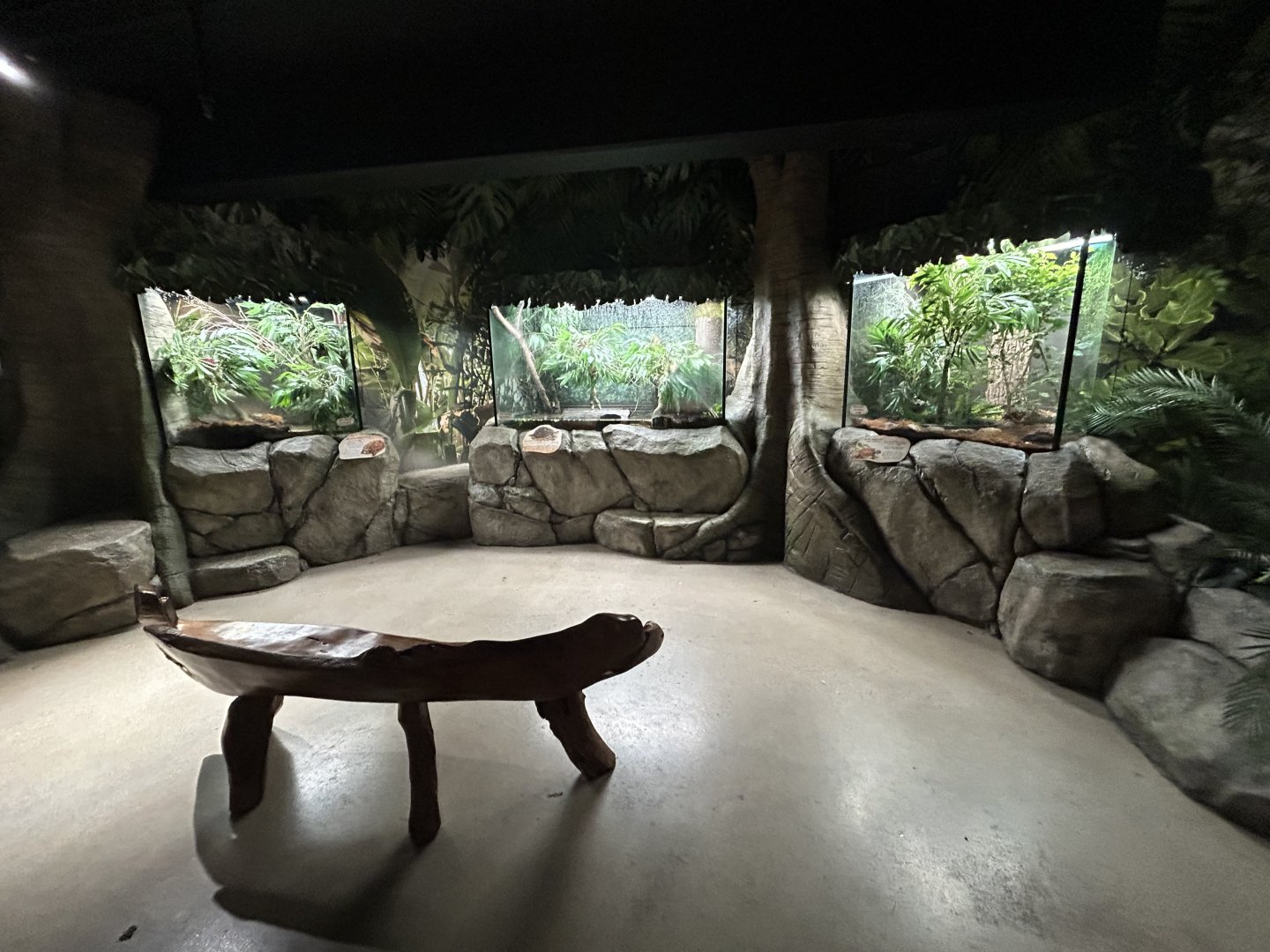 Southeast Asian Turtle Exhibits - Asian Trek