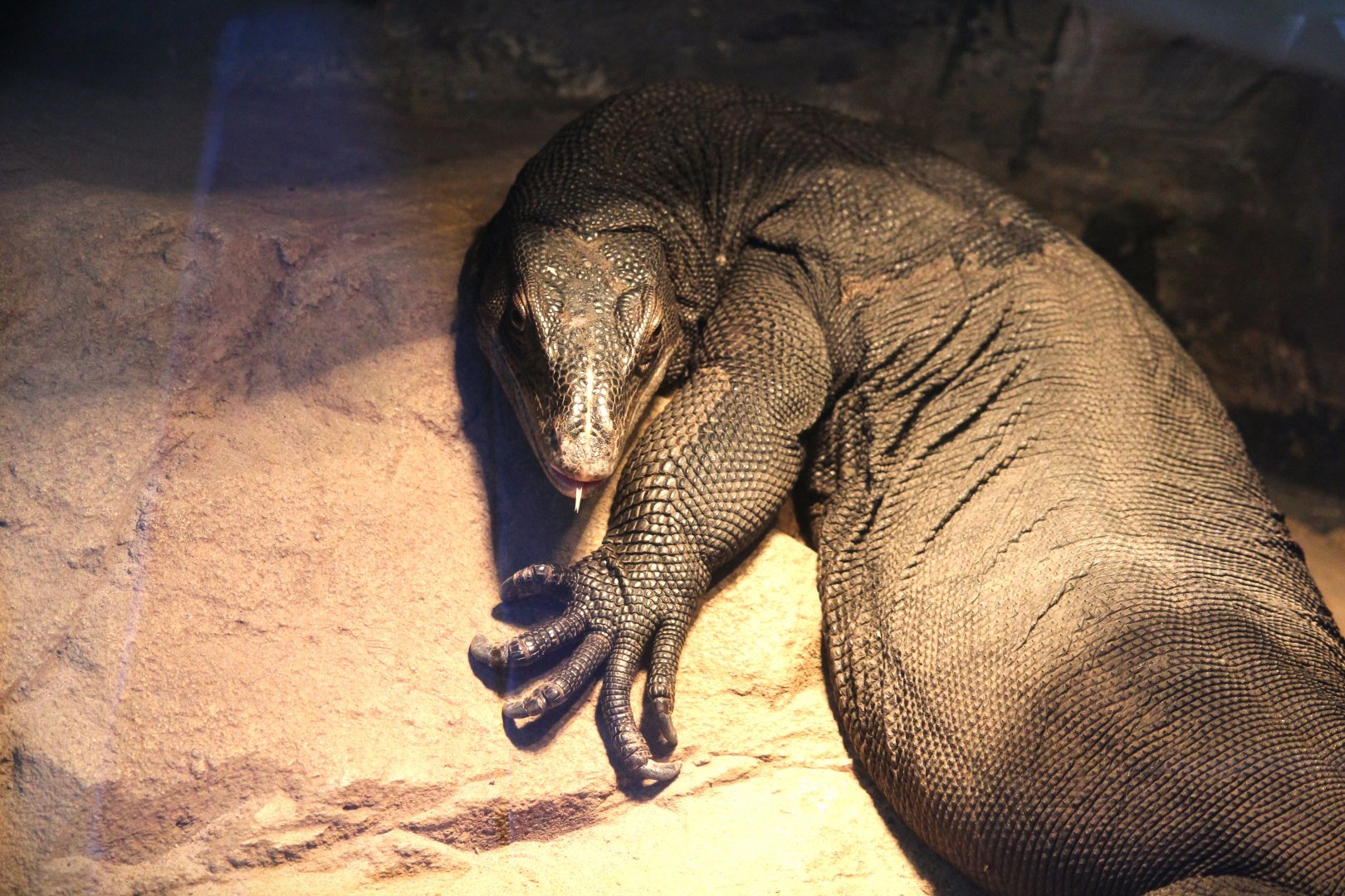 Southeast Asian Water Monitor