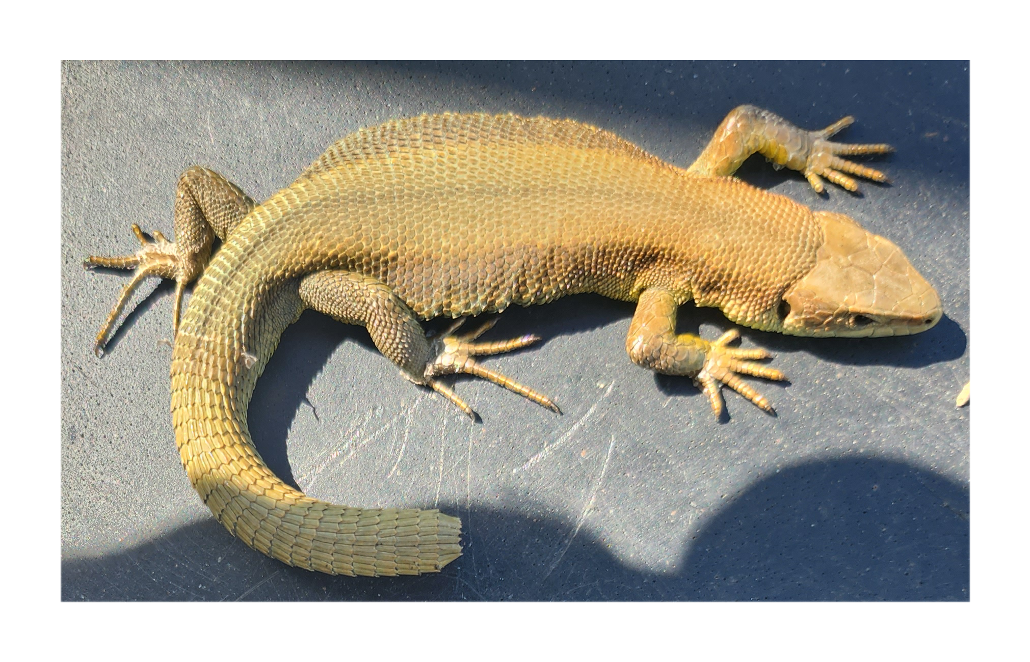 Southend seafront; 13th April 2023