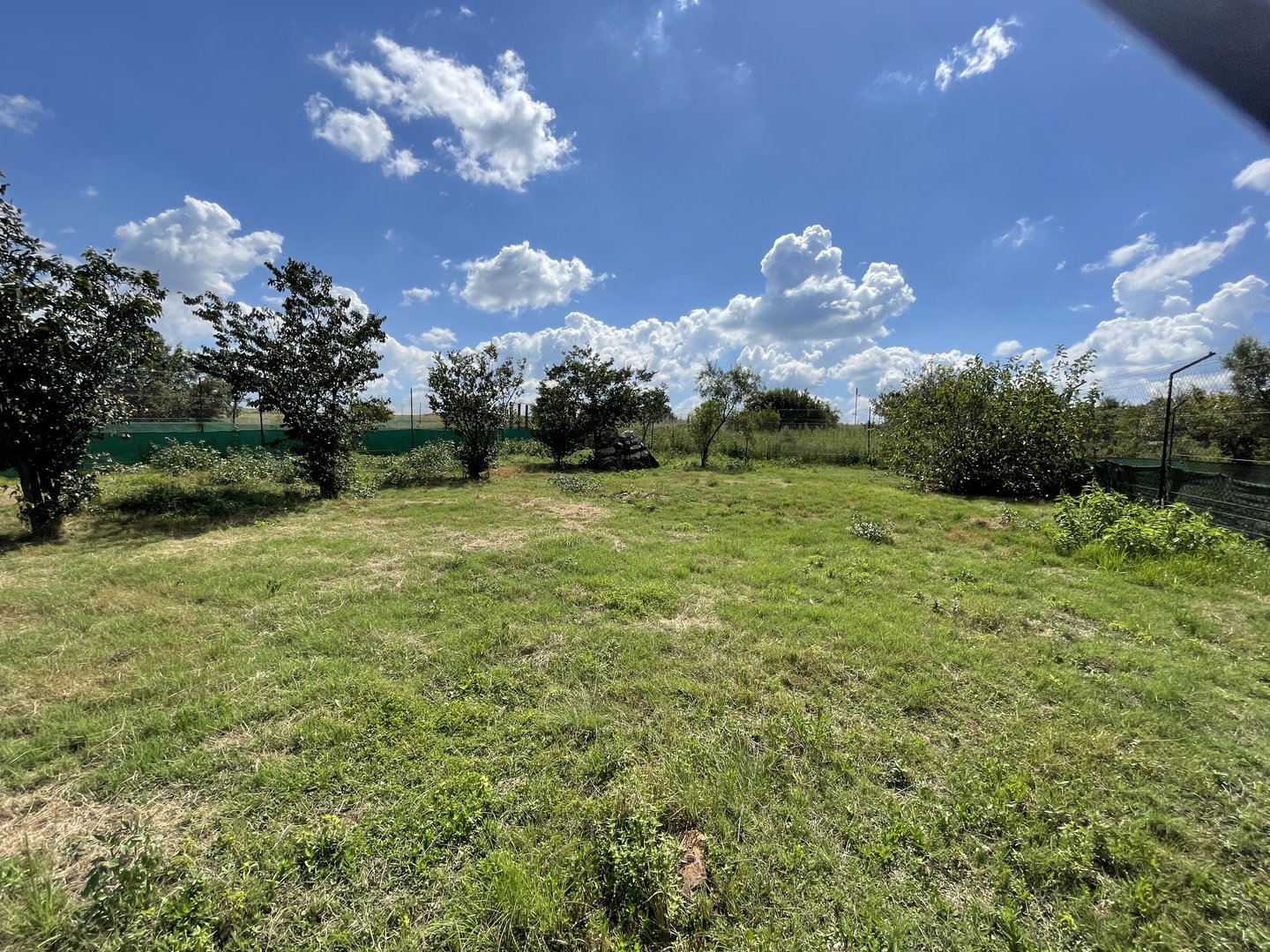 Southern Aardwolf Enclosure (Proteles cristata)
