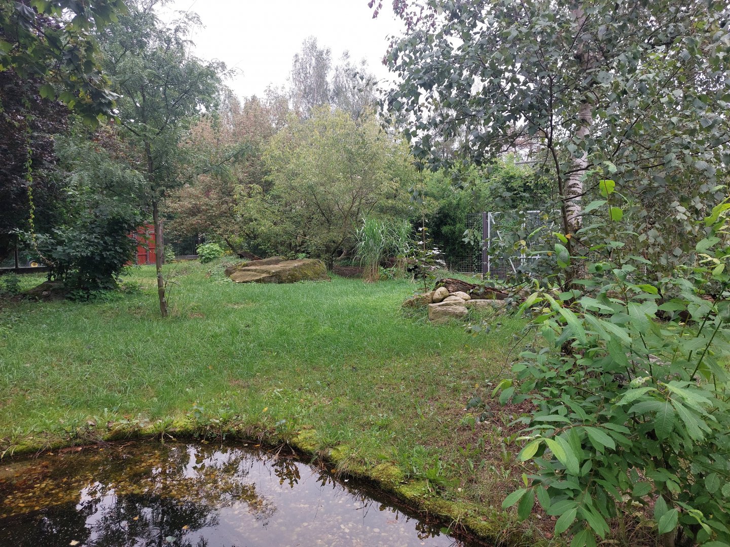 Southern aardwolf exhibit