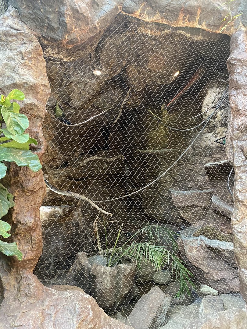 Southern Africa - Fischer’s Turaco Exhibit