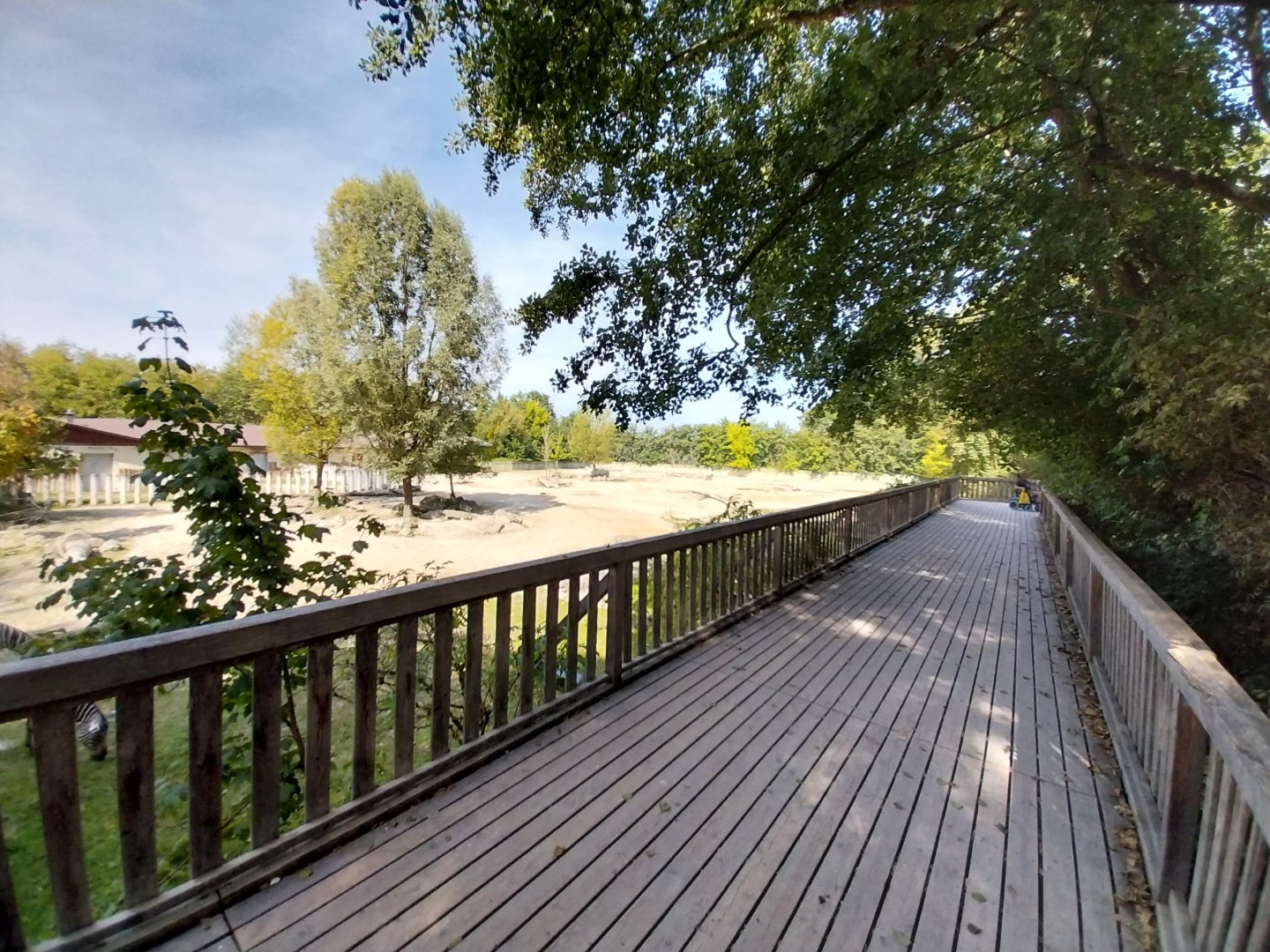 Southern Africa savanna viewing point