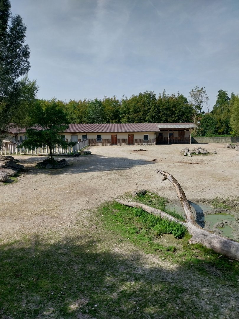 Southern Africa savannah