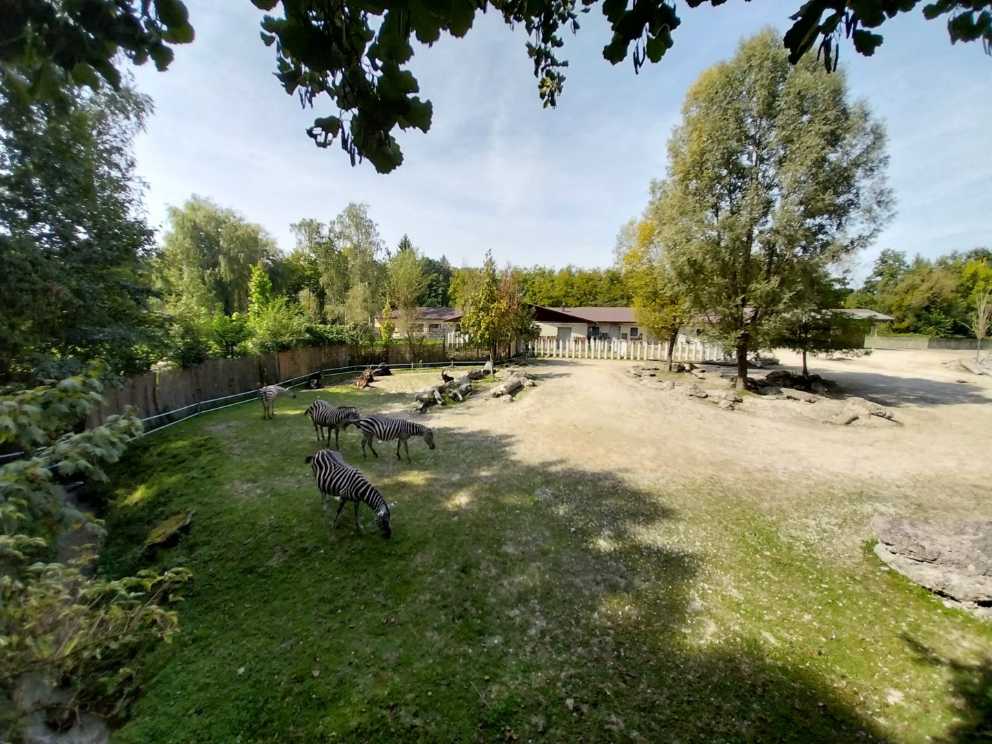 Southern Africa savannah